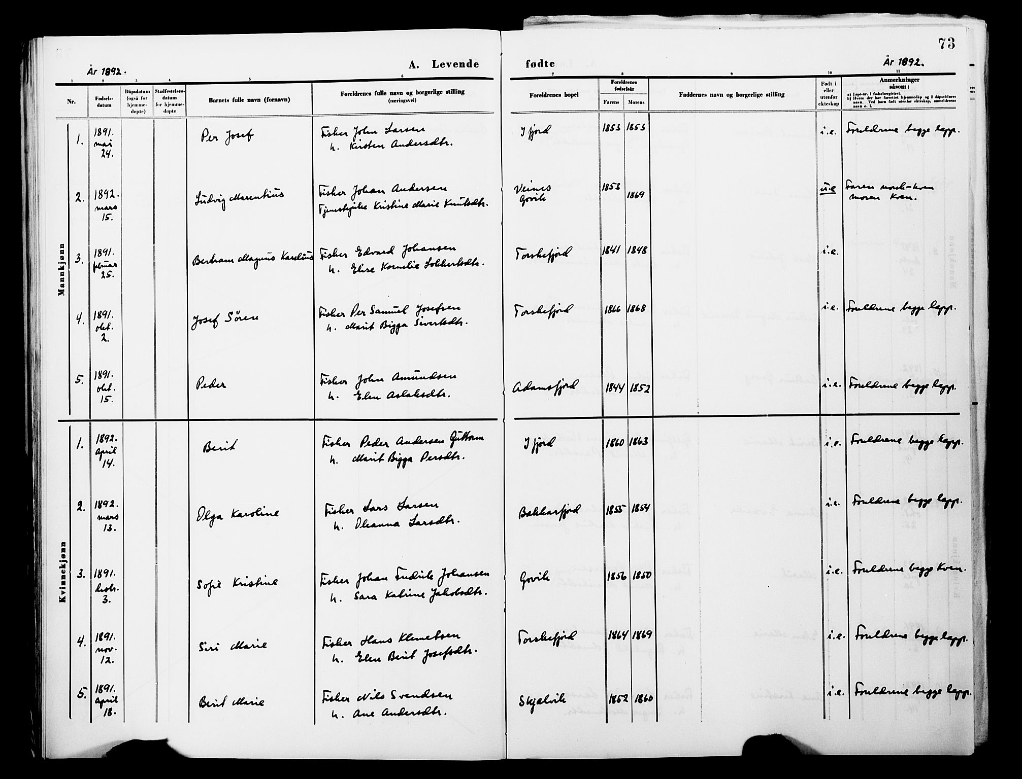 Lebesby sokneprestkontor, AV/SATØ-S-1353/H/Ha/L0004kirke: Parish register (official) no. 4, 1870-1902, p. 73