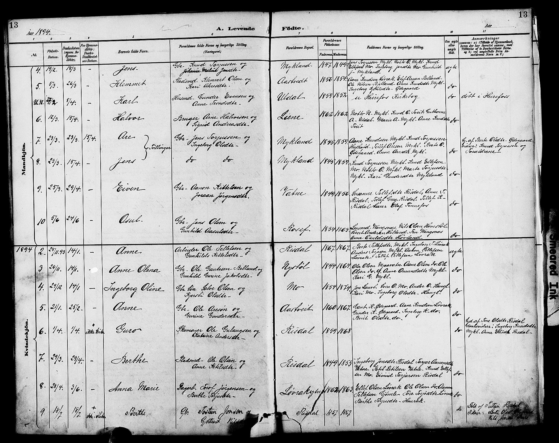 Herefoss sokneprestkontor, AV/SAK-1111-0019/F/Fb/Fbc/L0003: Parish register (copy) no. B 3, 1887-1915, p. 13