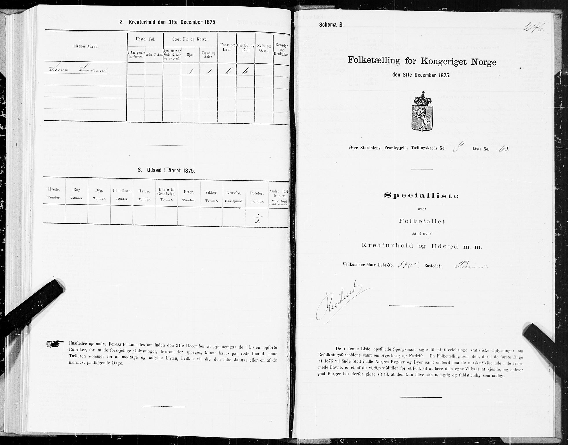 SAT, 1875 census for 1711P Øvre Stjørdal, 1875, p. 5246