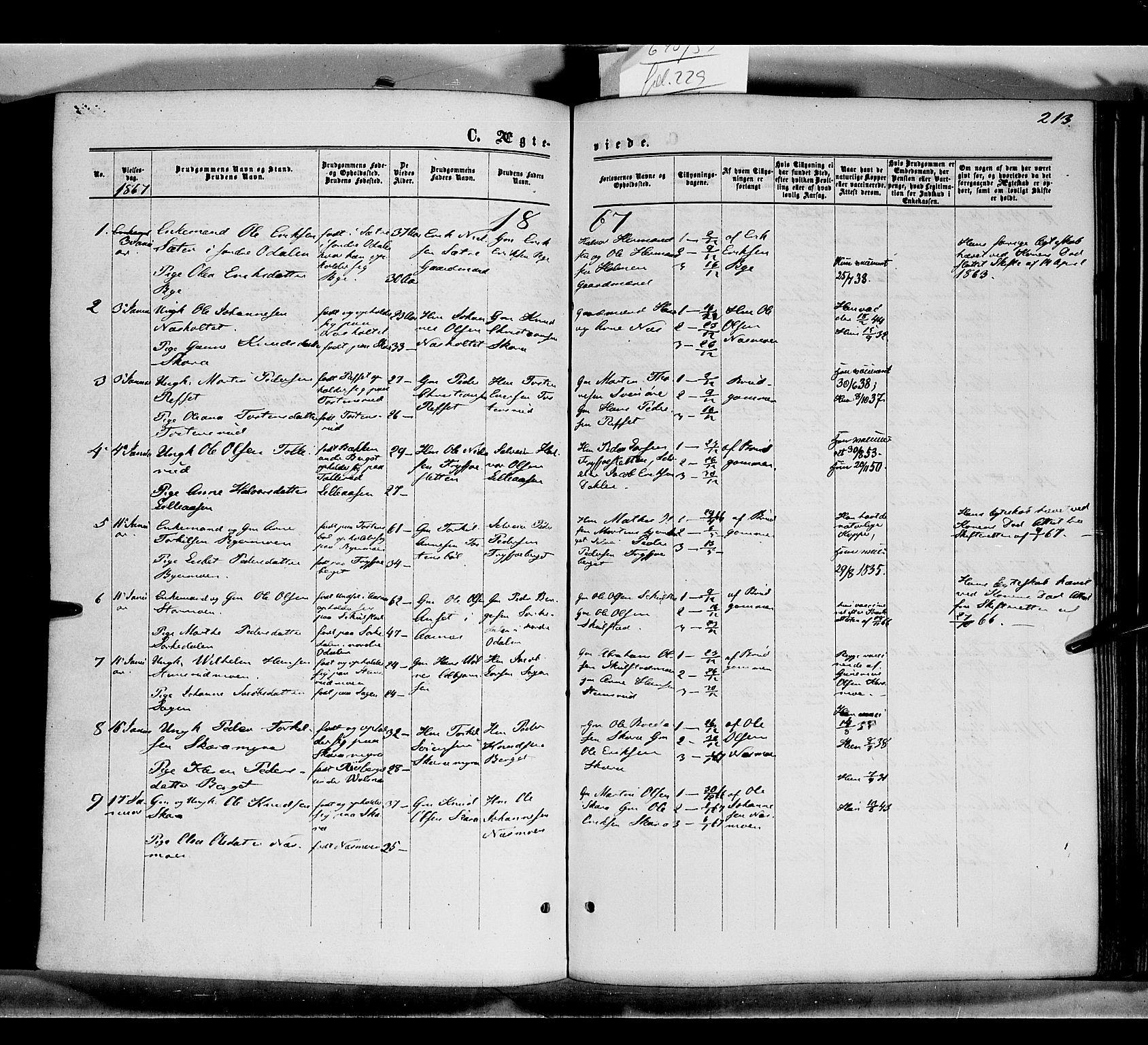 Grue prestekontor, SAH/PREST-036/H/Ha/Haa/L0010: Parish register (official) no. 10, 1864-1873, p. 213