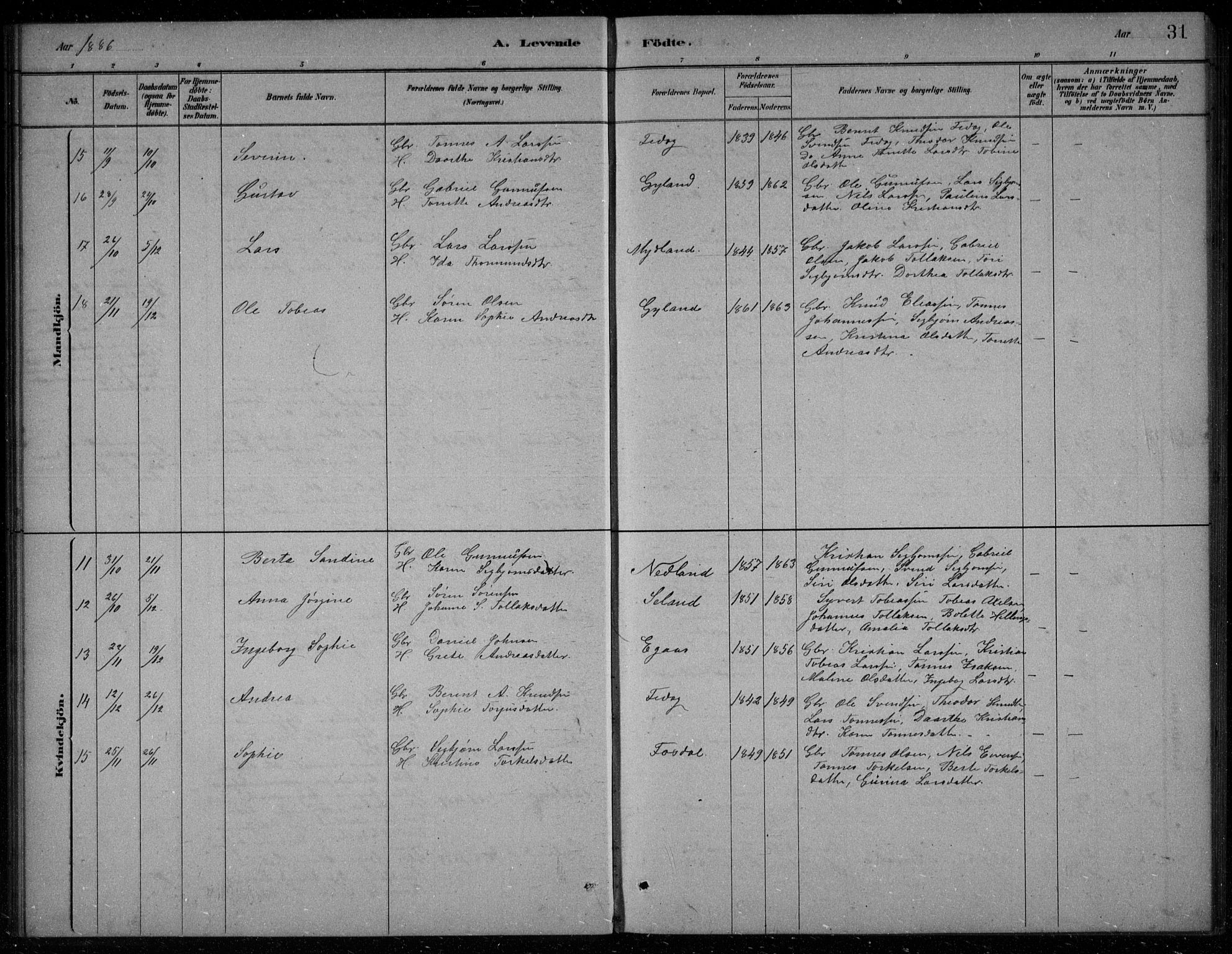 Bakke sokneprestkontor, AV/SAK-1111-0002/F/Fb/Fbb/L0003: Parish register (copy) no. B 3, 1878-1896, p. 31