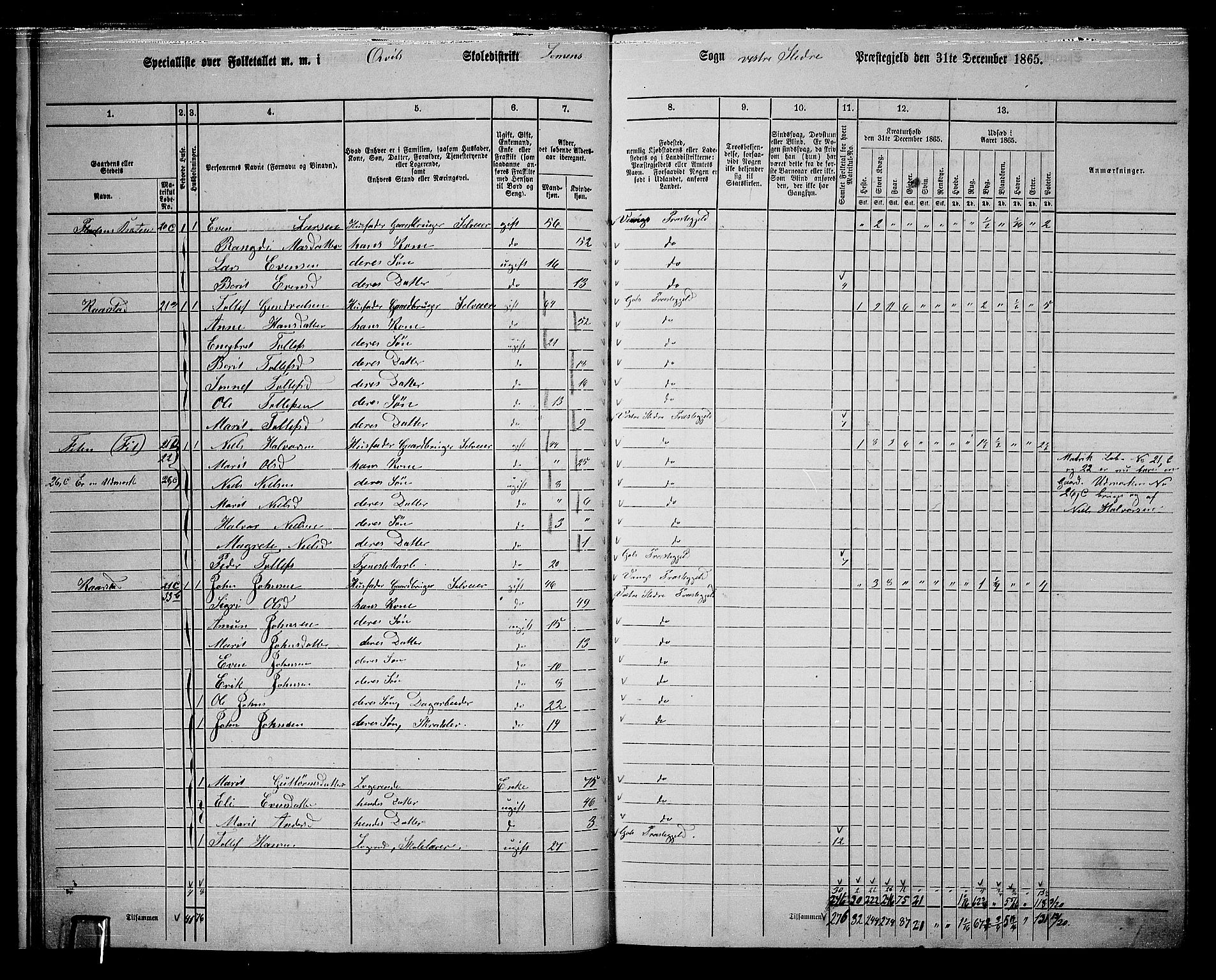 RA, 1865 census for Vestre Slidre, 1865, p. 19