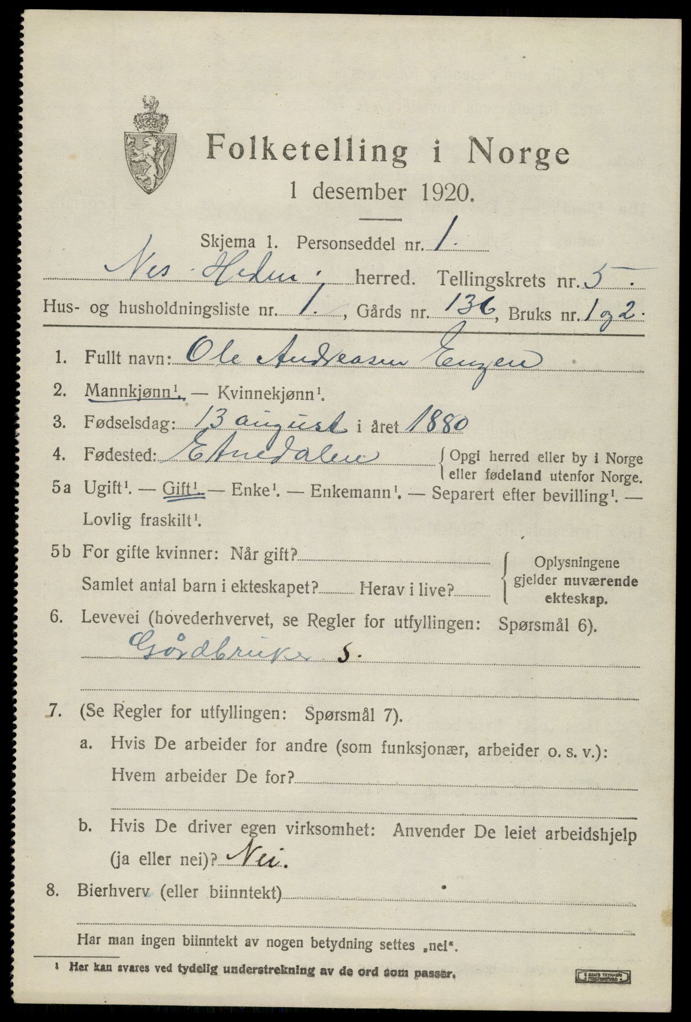 SAH, 1920 census for Nes (Hedmark), 1920, p. 6638