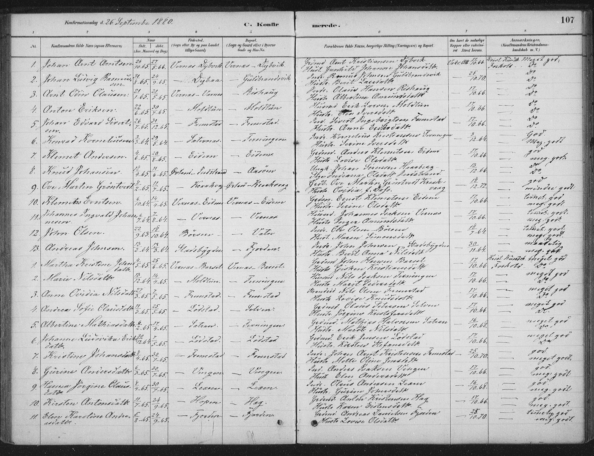 Ministerialprotokoller, klokkerbøker og fødselsregistre - Sør-Trøndelag, AV/SAT-A-1456/662/L0755: Parish register (official) no. 662A01, 1879-1905, p. 107