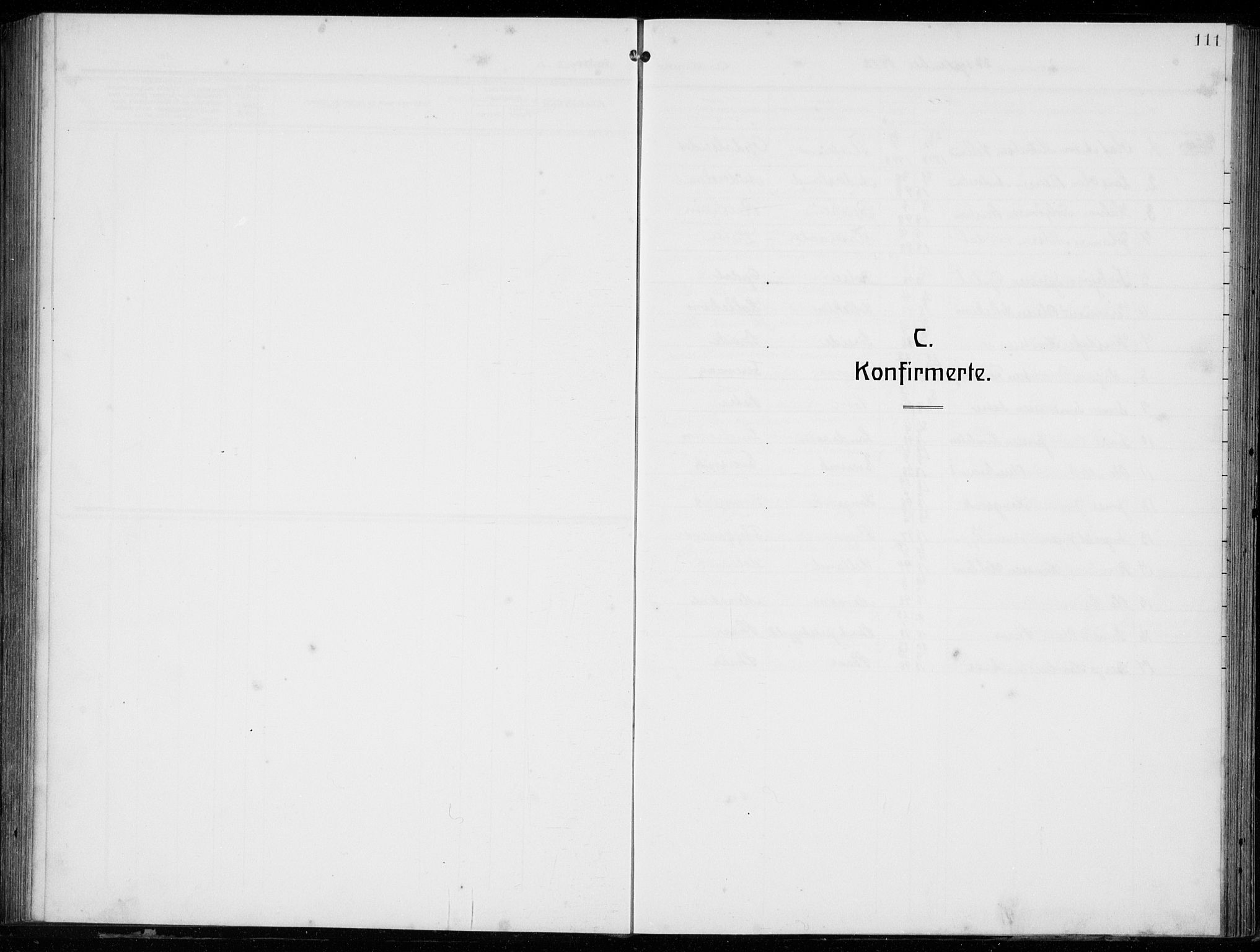 Tysnes sokneprestembete, SAB/A-78601/H/Hab: Parish register (copy) no. E  4, 1912-1936, p. 111