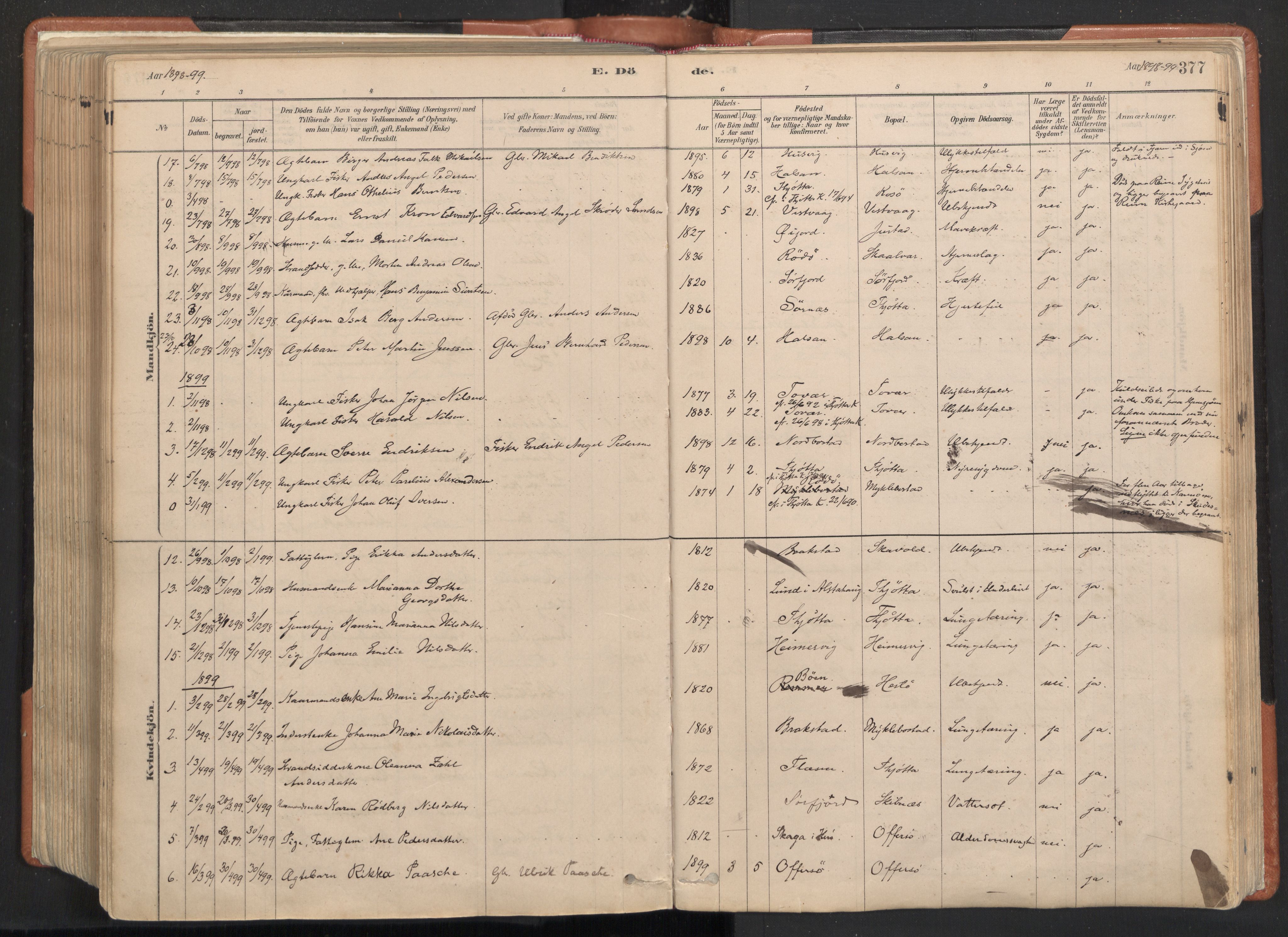 Ministerialprotokoller, klokkerbøker og fødselsregistre - Nordland, SAT/A-1459/817/L0264: Parish register (official) no. 817A04, 1878-1907, p. 377