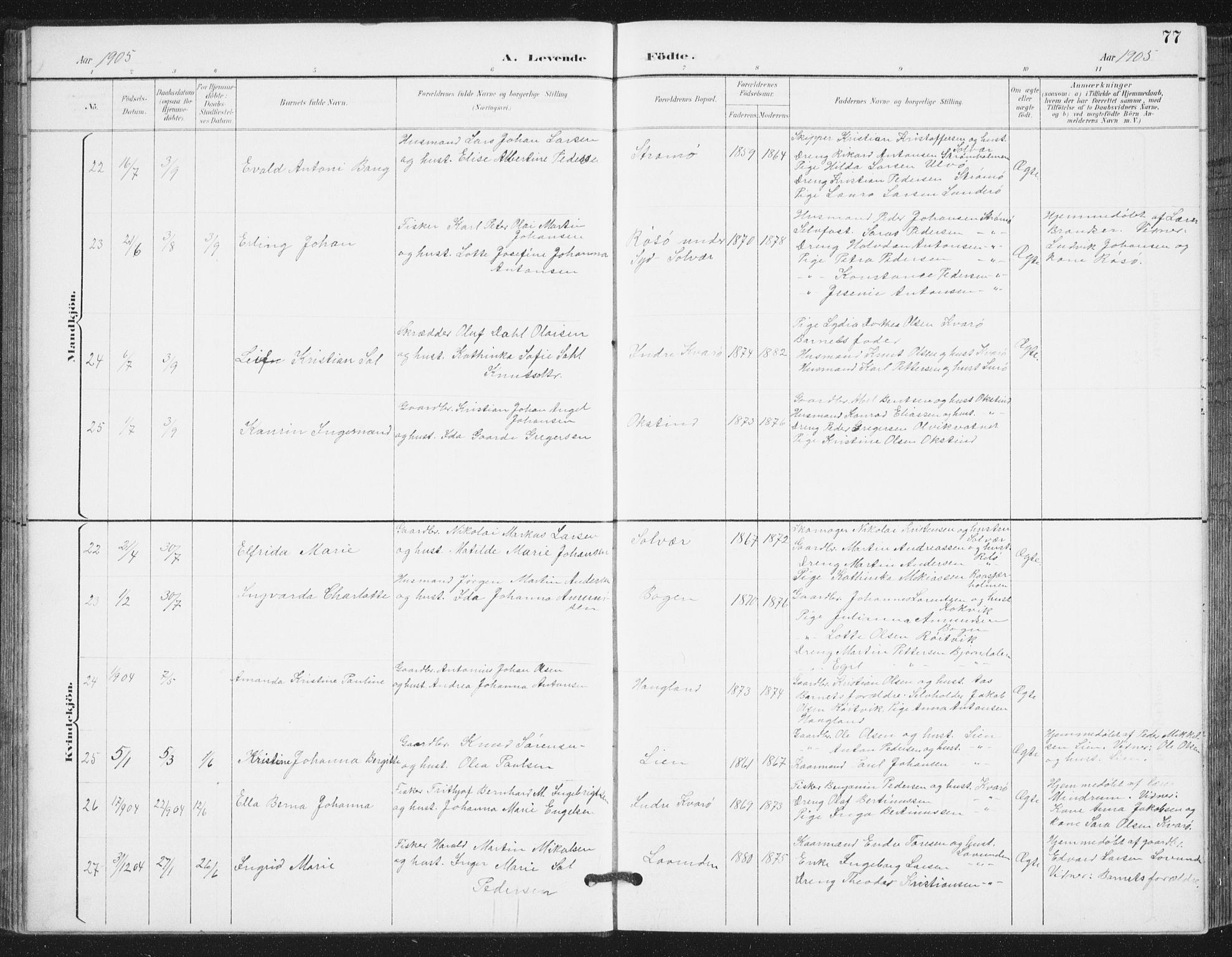 Ministerialprotokoller, klokkerbøker og fødselsregistre - Nordland, AV/SAT-A-1459/839/L0573: Parish register (copy) no. 839C03, 1892-1917, p. 77