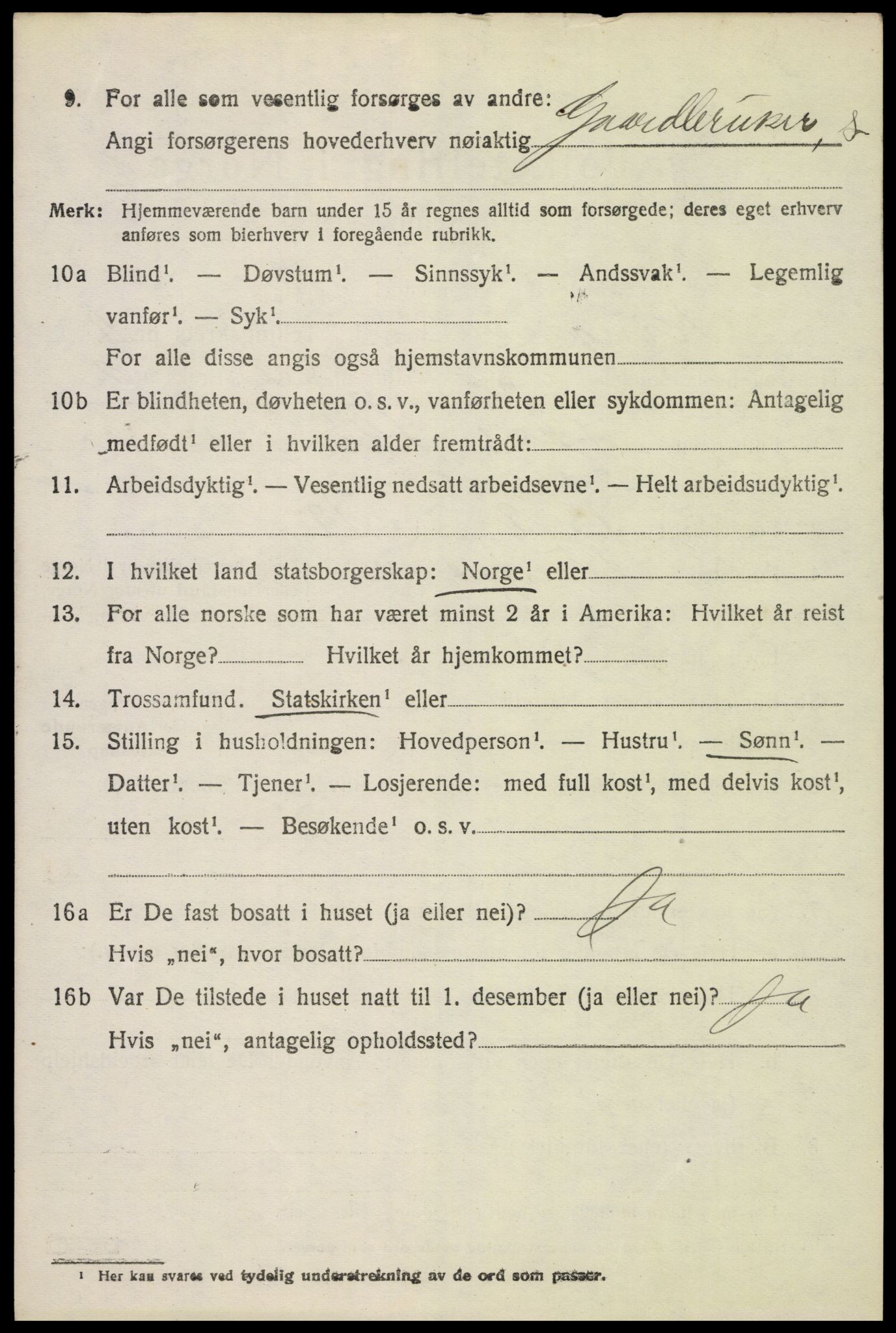 SAH, 1920 census for Ringsaker, 1920, p. 19371