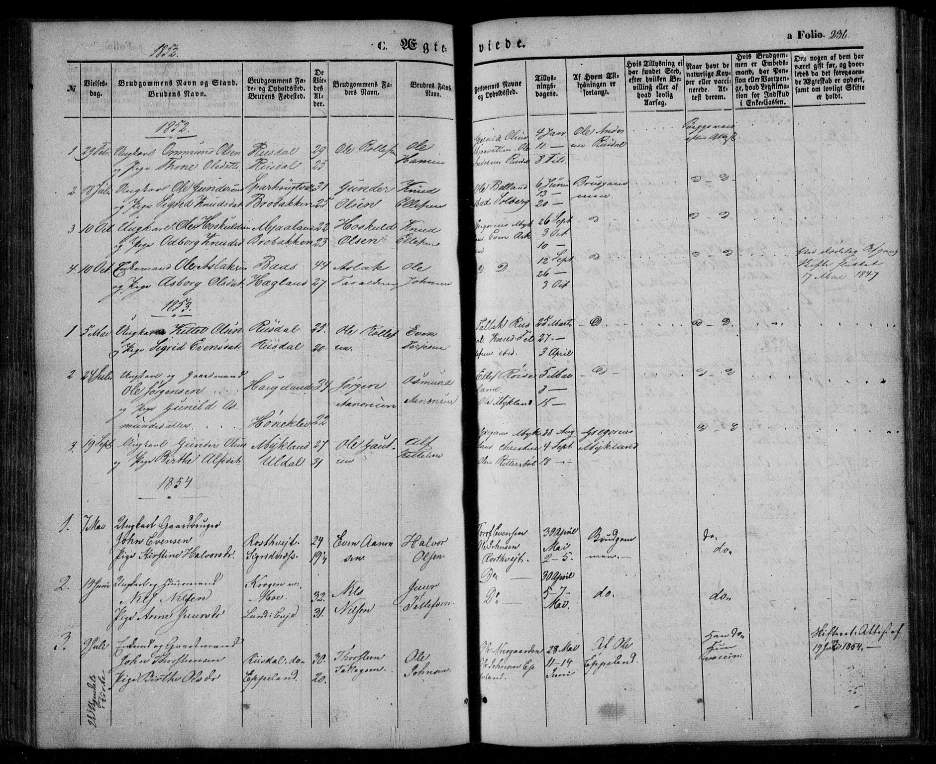 Åmli sokneprestkontor, SAK/1111-0050/F/Fa/Fac/L0008: Parish register (official) no. A 8, 1852-1869, p. 236