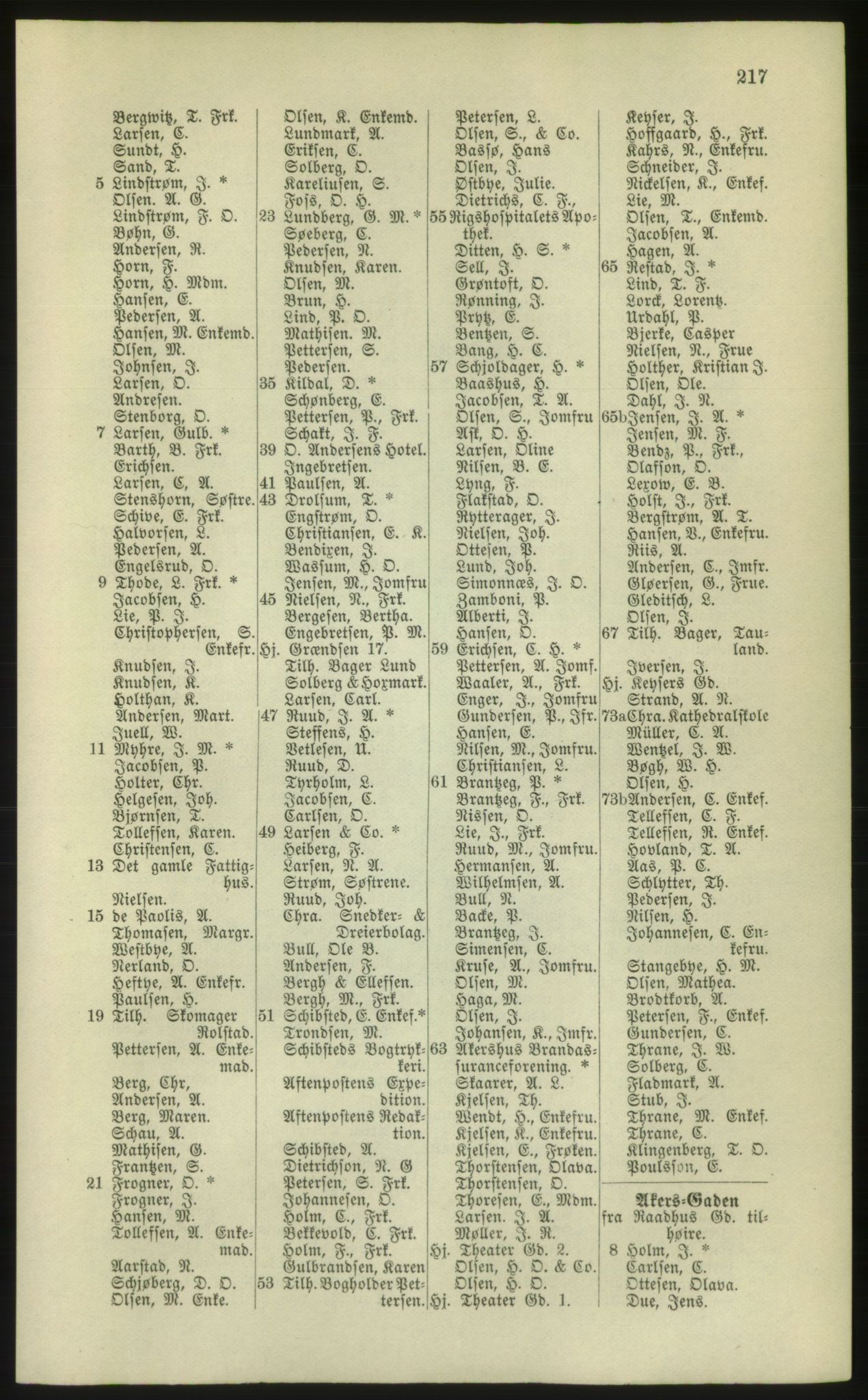 Kristiania/Oslo adressebok, PUBL/-, 1881, p. 217