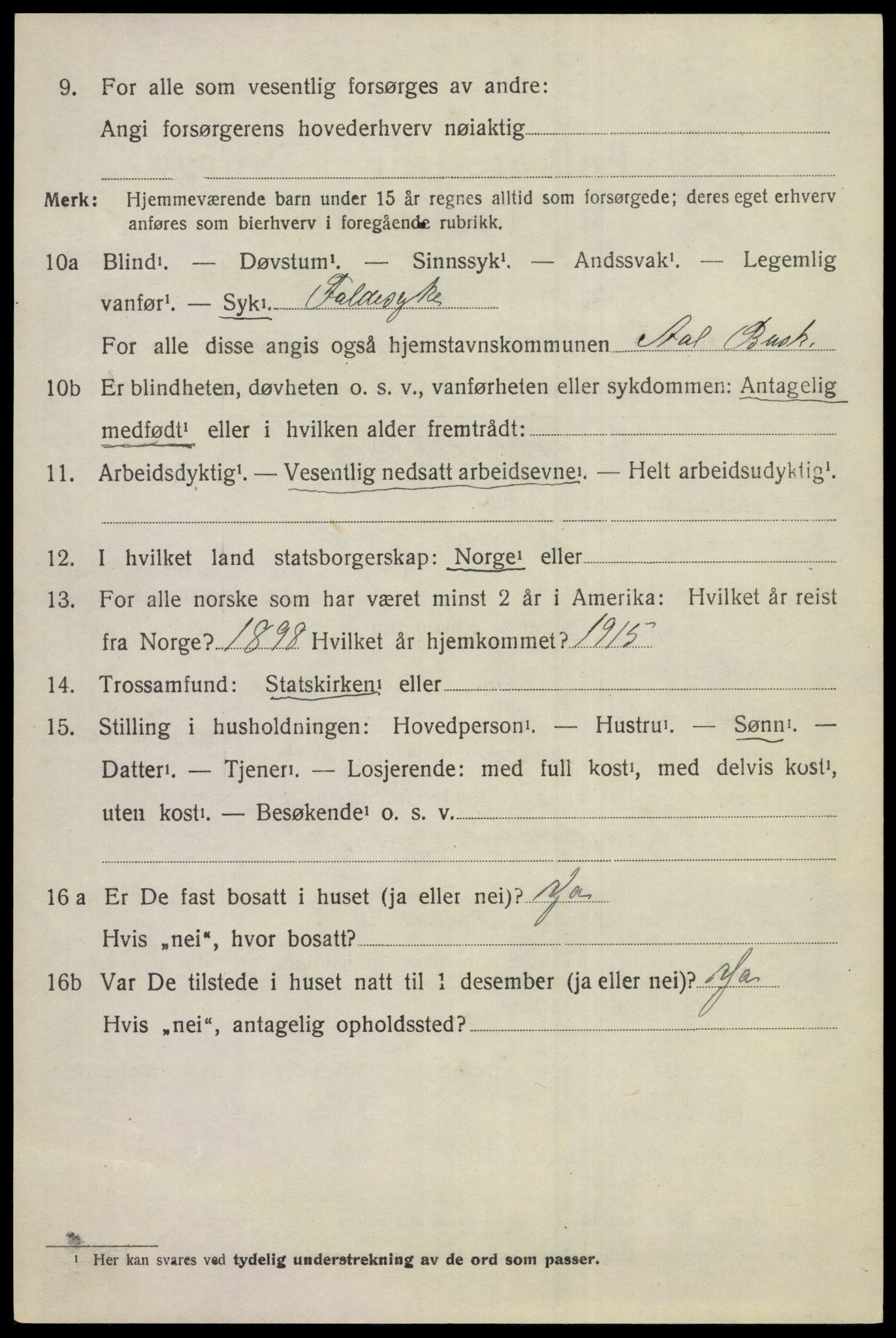 SAKO, 1920 census for Ål, 1920, p. 5115