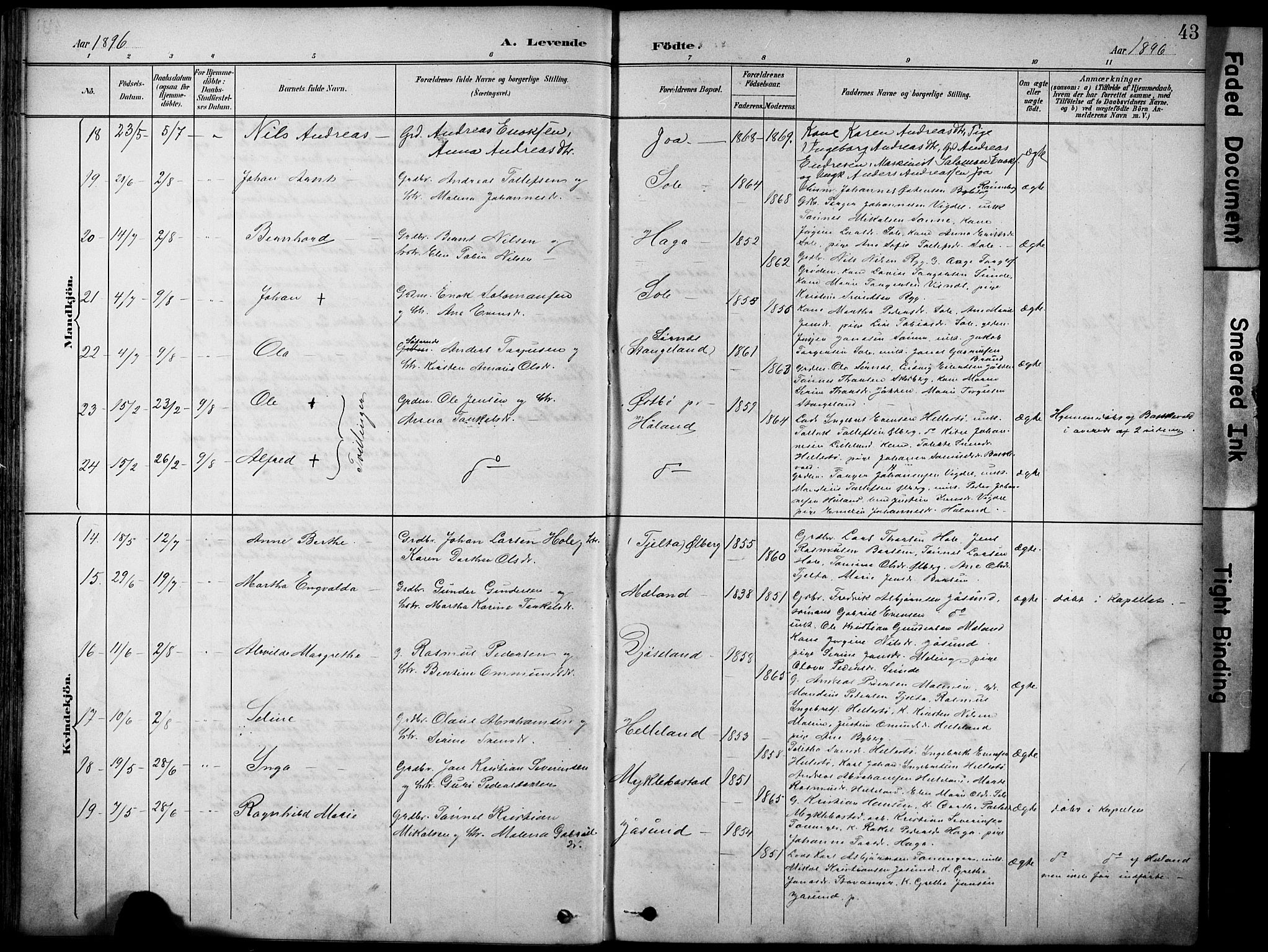 Håland sokneprestkontor, AV/SAST-A-101802/001/30BA/L0012: Parish register (official) no. A 11, 1889-1900, p. 43