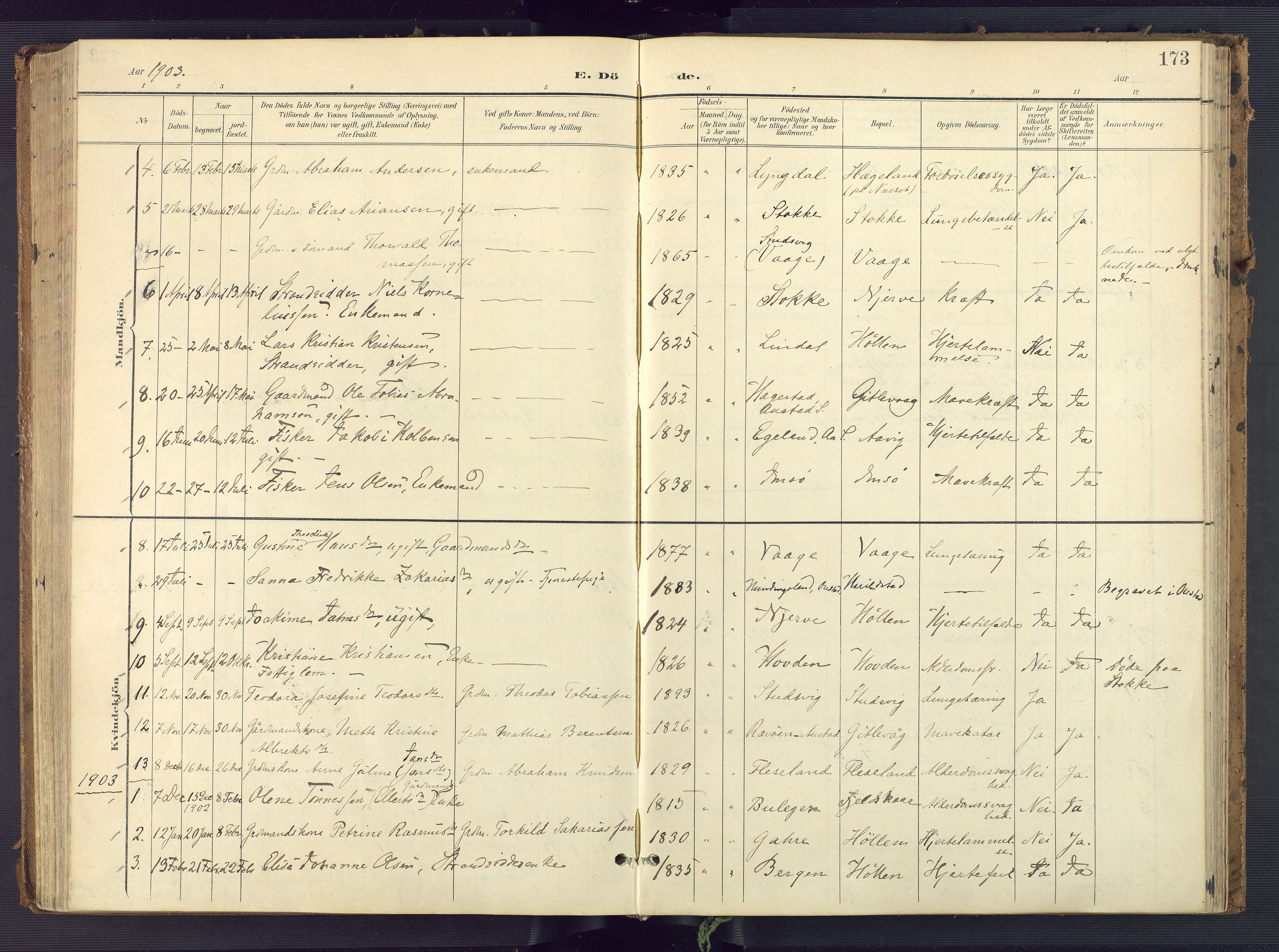 Sør-Audnedal sokneprestkontor, AV/SAK-1111-0039/F/Fa/Faa/L0005: Parish register (official) no. A 5, 1900-1923, p. 173