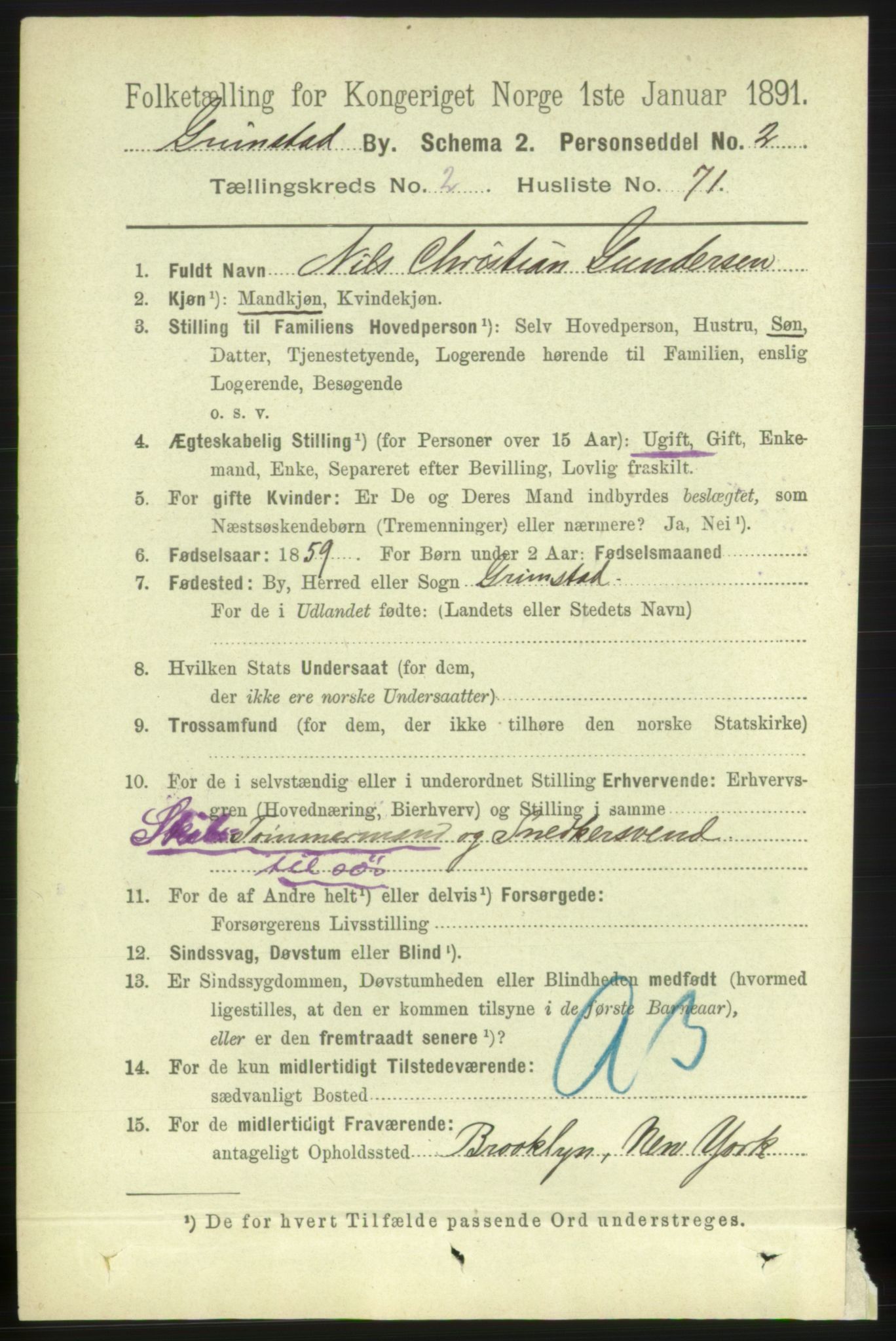 RA, 1891 census for 0904 Grimstad, 1891, p. 1993