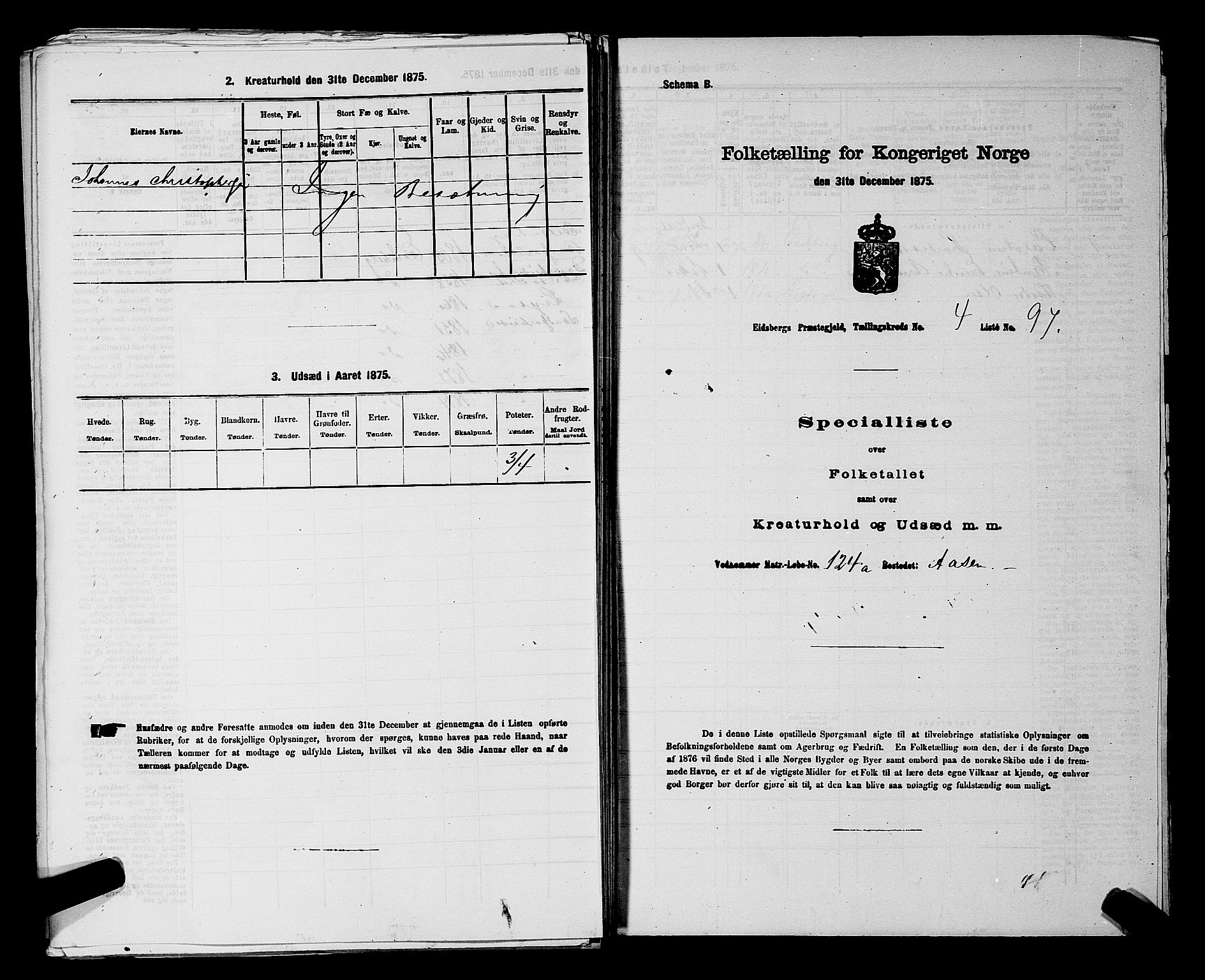 RA, 1875 census for 0125P Eidsberg, 1875, p. 889