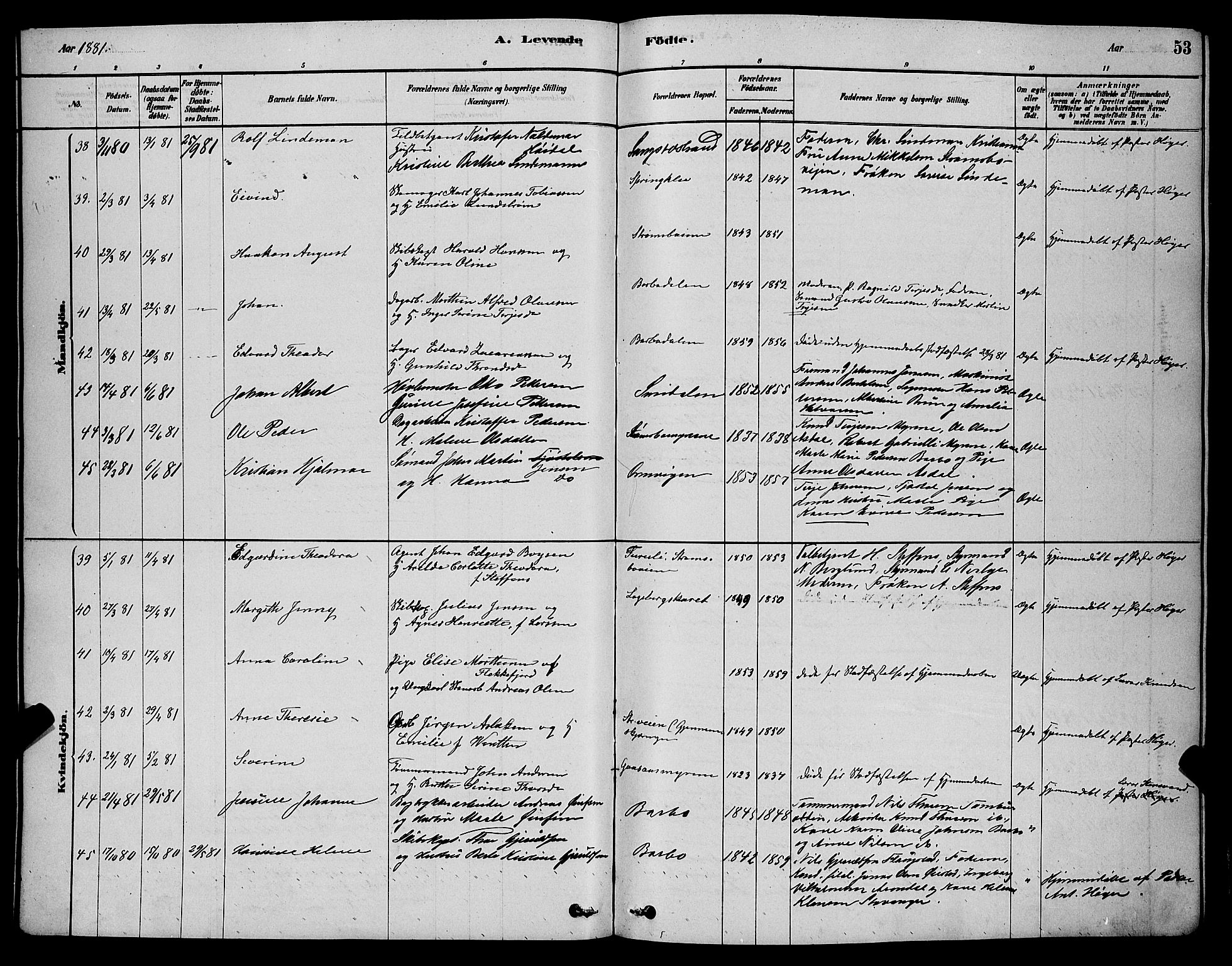 Barbu sokneprestkontor, AV/SAK-1111-0003/F/Fb/L0001: Parish register (copy) no. B 1, 1878-1890, p. 53