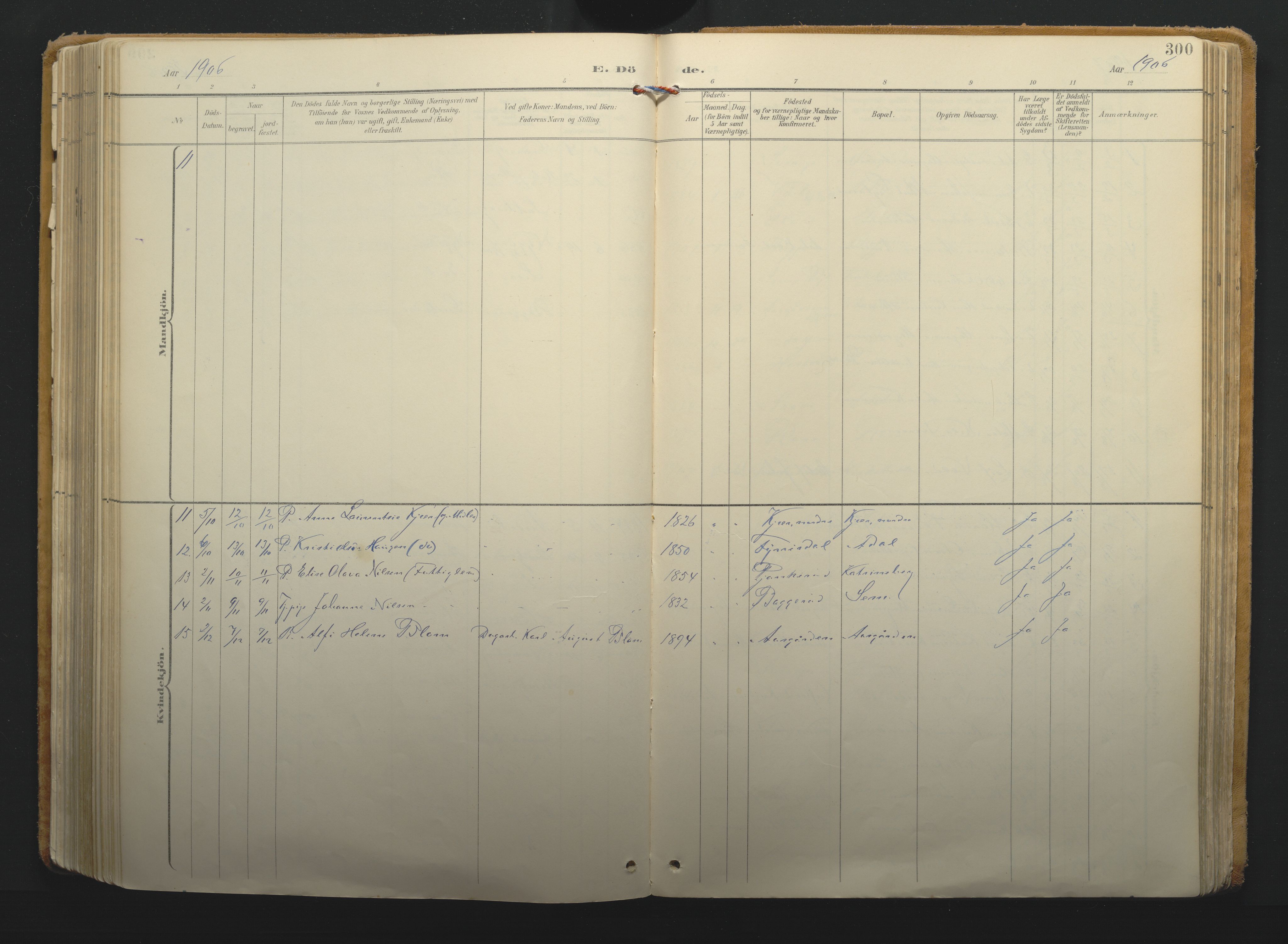 Borre kirkebøker, AV/SAKO-A-338/F/Fa/L0011: Parish register (official) no. I 11, 1897-1921, p. 300