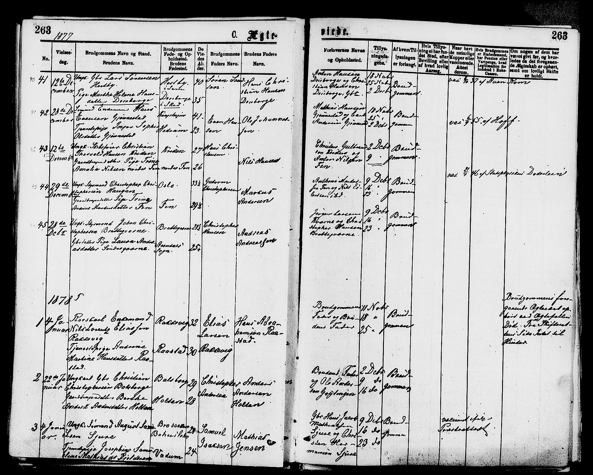 Stokke kirkebøker, AV/SAKO-A-320/F/Fa/L0009: Parish register (official) no. I 9, 1872-1883, p. 263