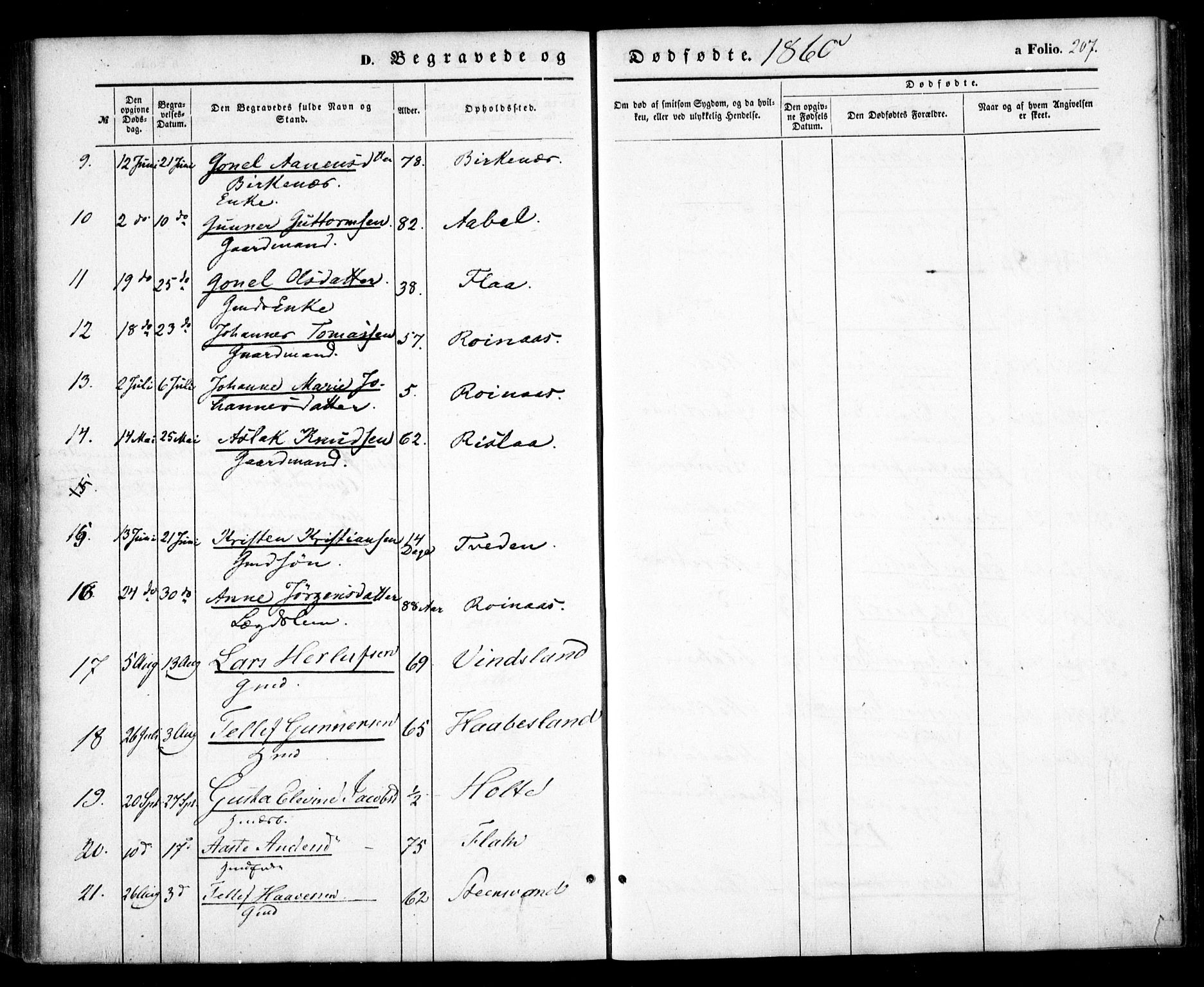 Birkenes sokneprestkontor, AV/SAK-1111-0004/F/Fa/L0003: Parish register (official) no. A 3, 1850-1866, p. 207