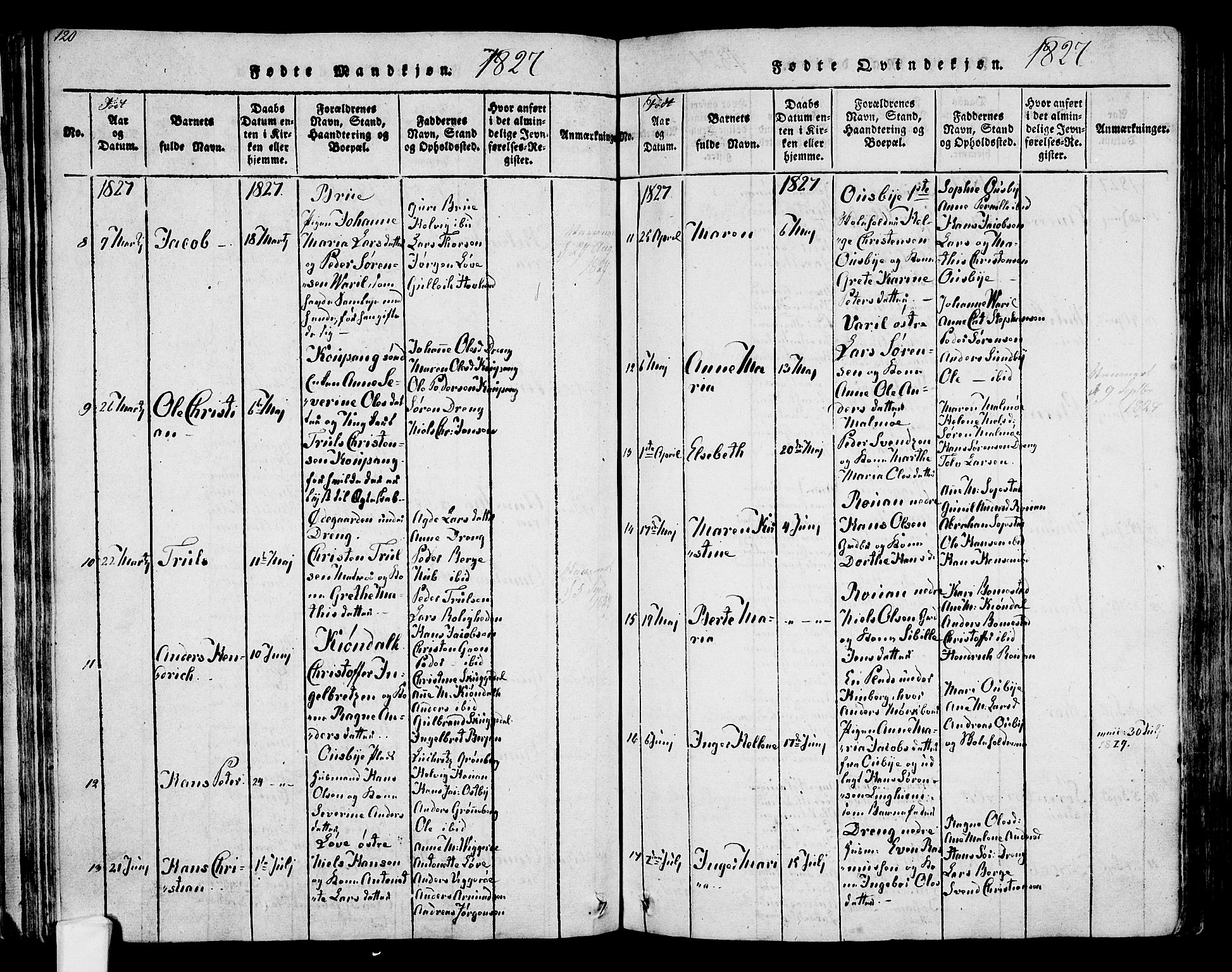 Tjølling kirkebøker, SAKO/A-60/F/Fa/L0005: Parish register (official) no. 5, 1814-1836, p. 120-121