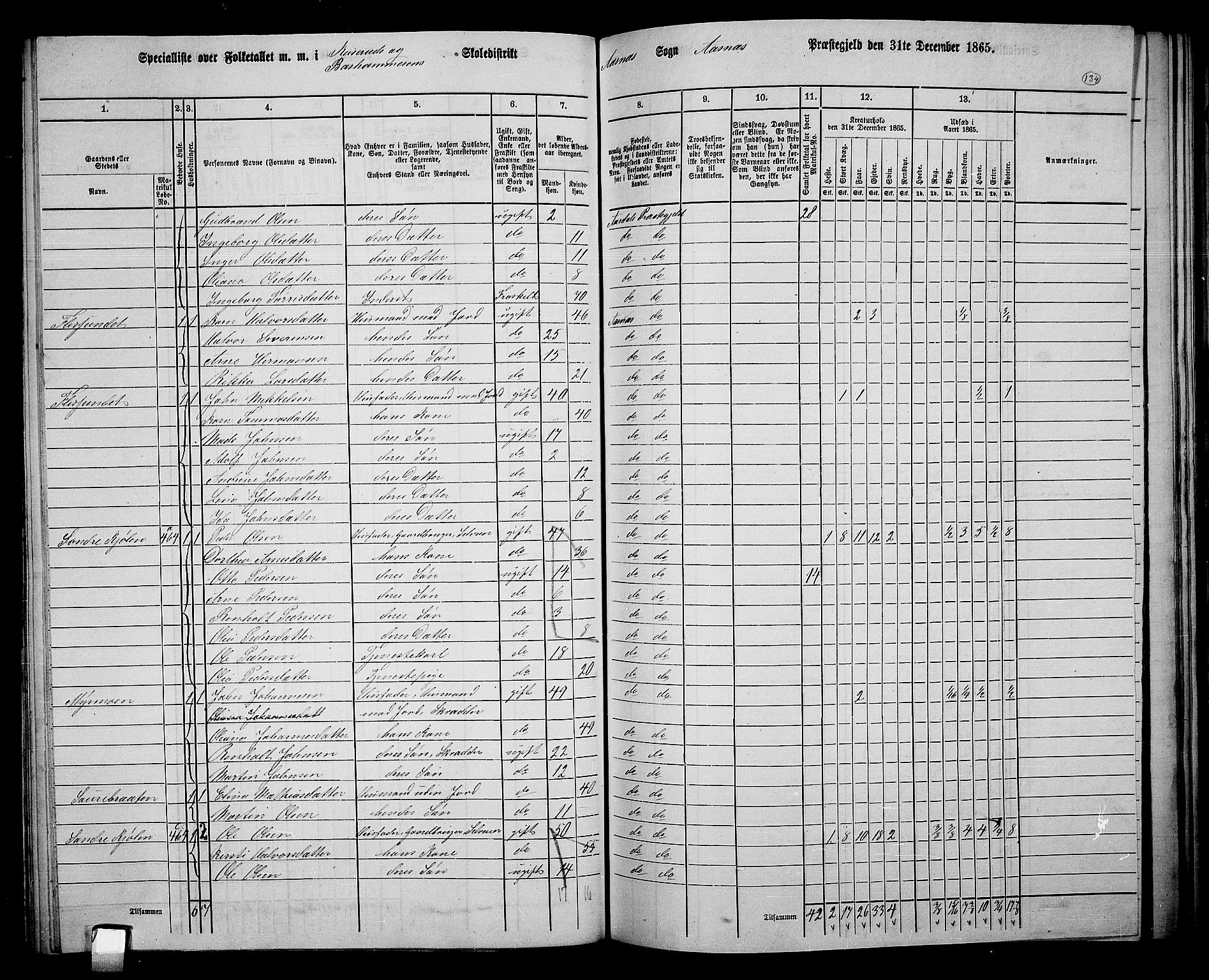 RA, 1865 census for Åsnes, 1865, p. 125