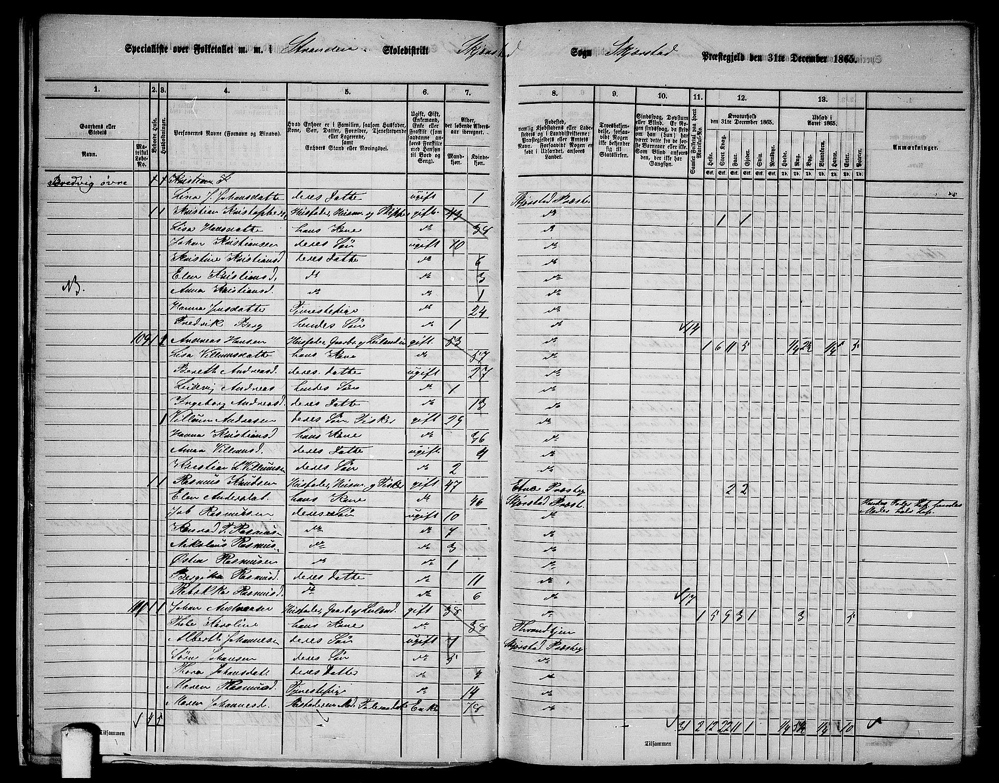 RA, 1865 census for Skjerstad, 1865, p. 20
