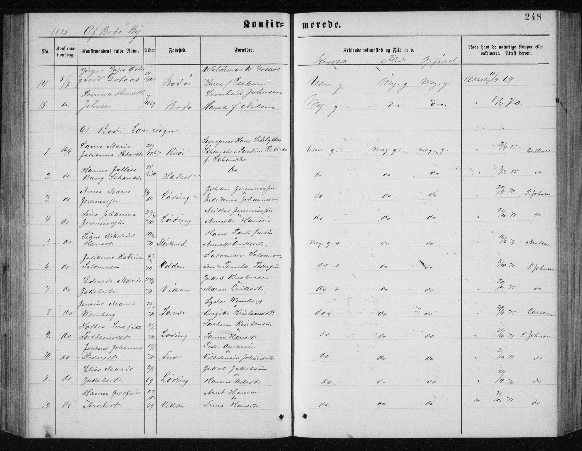 Ministerialprotokoller, klokkerbøker og fødselsregistre - Nordland, AV/SAT-A-1459/801/L0031: Parish register (copy) no. 801C06, 1883-1887, p. 248