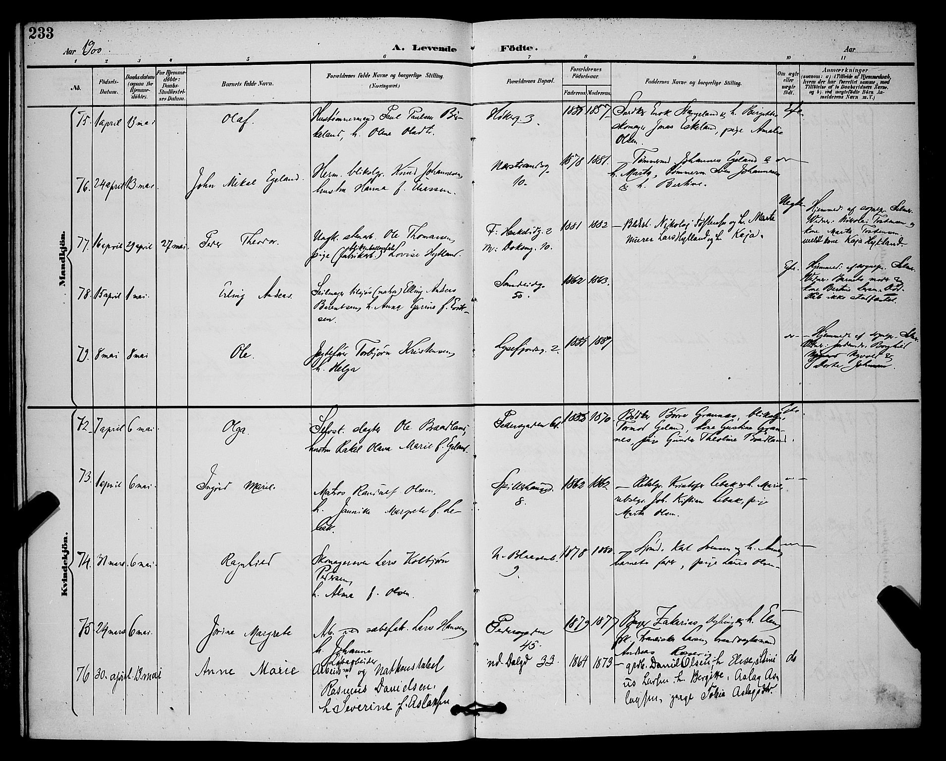 St. Johannes sokneprestkontor, AV/SAST-A-101814/001/30/30BB/L0003: Parish register (copy) no. B 3, 1893-1900, p. 233