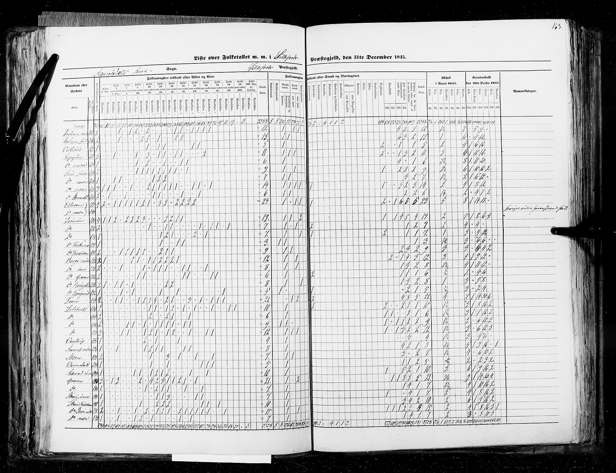 RA, Census 1845, vol. 5: Bratsberg amt og Nedenes og Råbyggelaget amt, 1845, p. 163