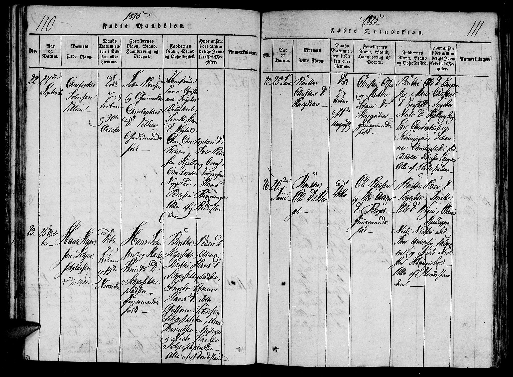Ministerialprotokoller, klokkerbøker og fødselsregistre - Nord-Trøndelag, SAT/A-1458/701/L0005: Parish register (official) no. 701A05 /1, 1816-1825, p. 110-111