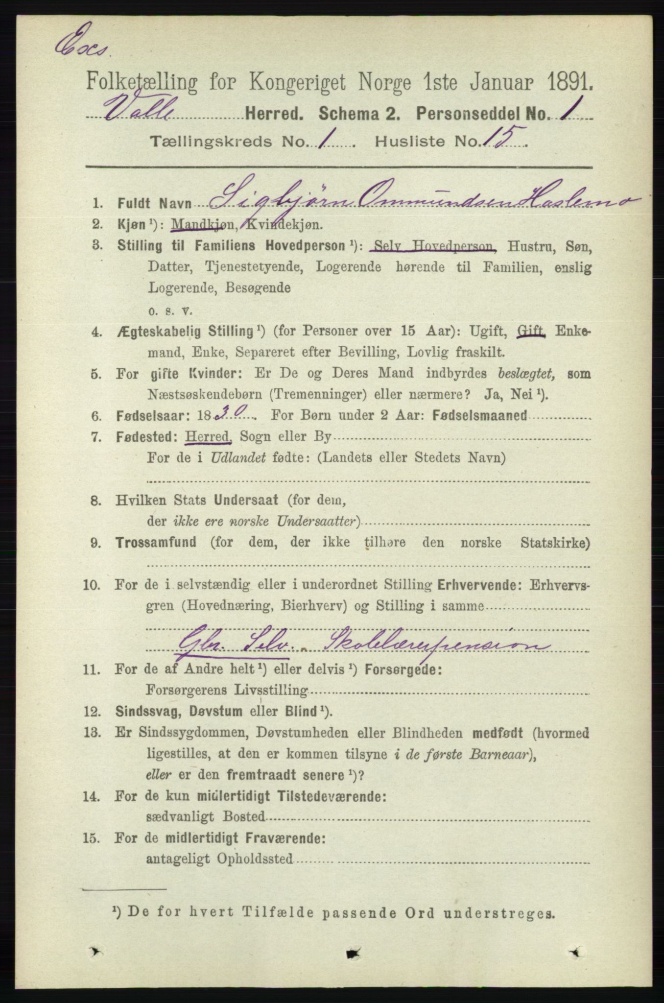 RA, Census 1891 for Nedenes amt: Gjenparter av personsedler for beslektede ektefeller, menn, 1891, p. 1051