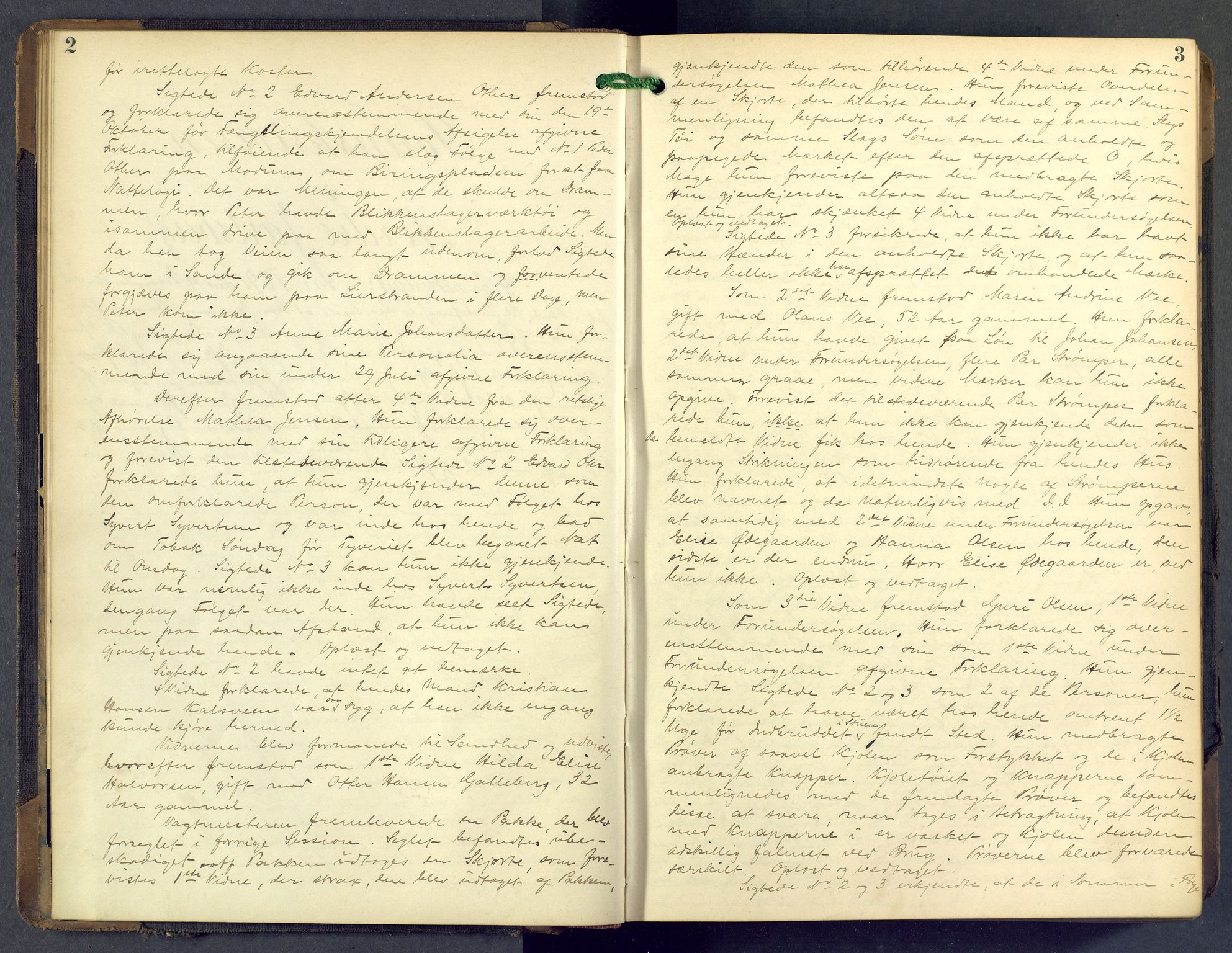 Nordre Jarlsberg sorenskriveri, AV/SAKO-A-80/F/Fb/Fba/L0028: Ekstrarettsprotokoll, 1891-1897, p. 2-3