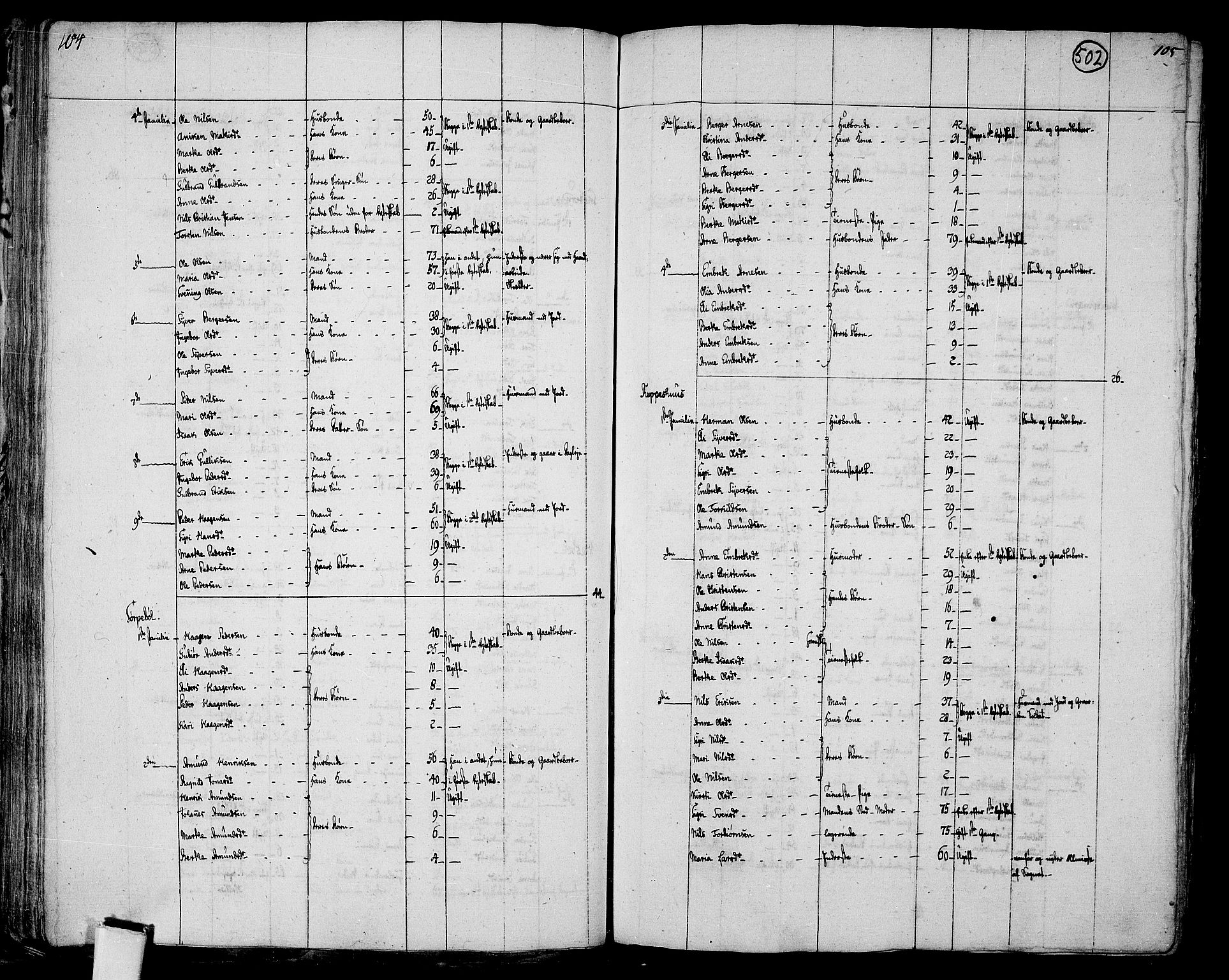 RA, 1801 census for 0421P Vinger, 1801, p. 501b-502a