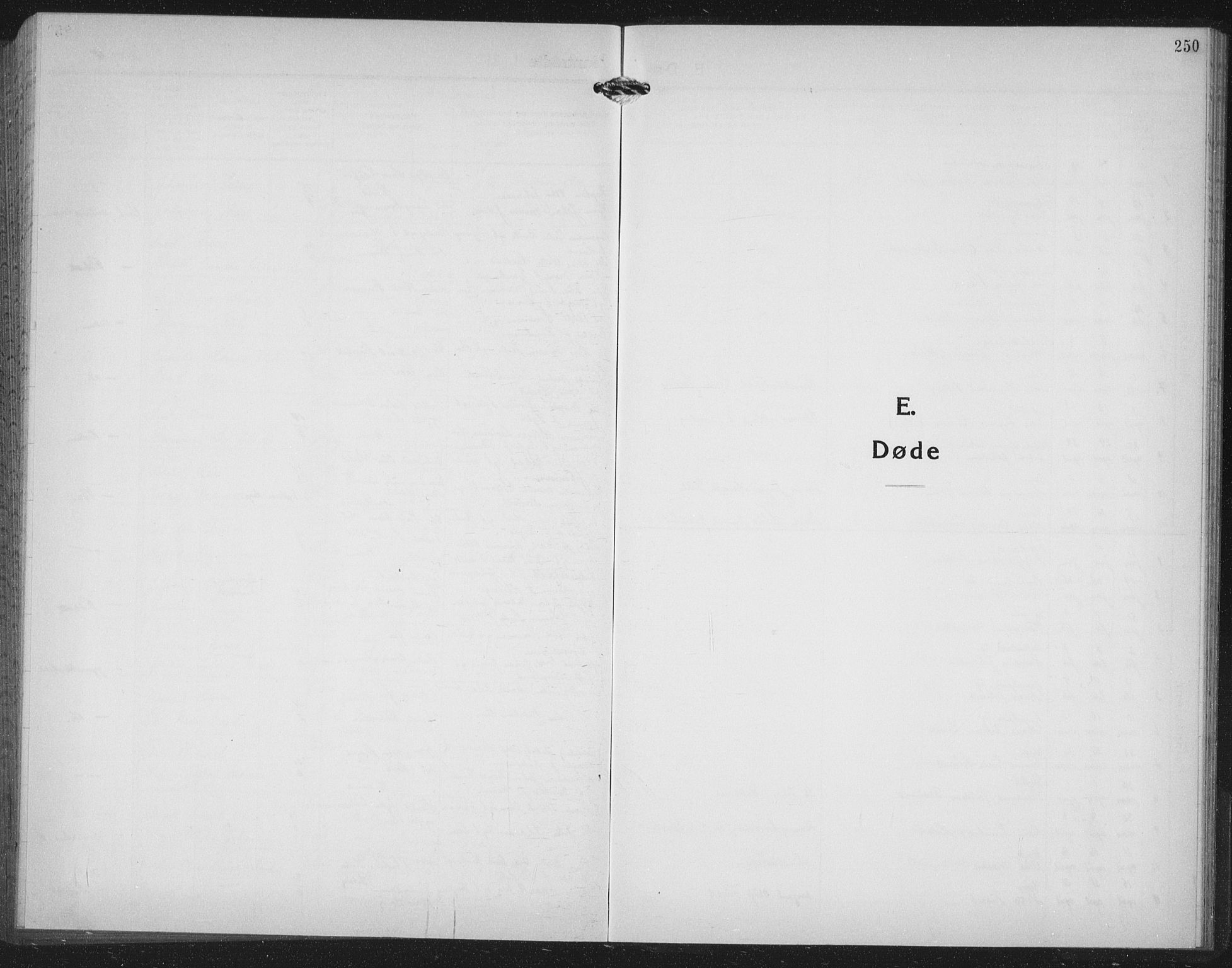 Ministerialprotokoller, klokkerbøker og fødselsregistre - Møre og Romsdal, AV/SAT-A-1454/558/L0704: Parish register (copy) no. 558C05, 1921-1942, p. 250