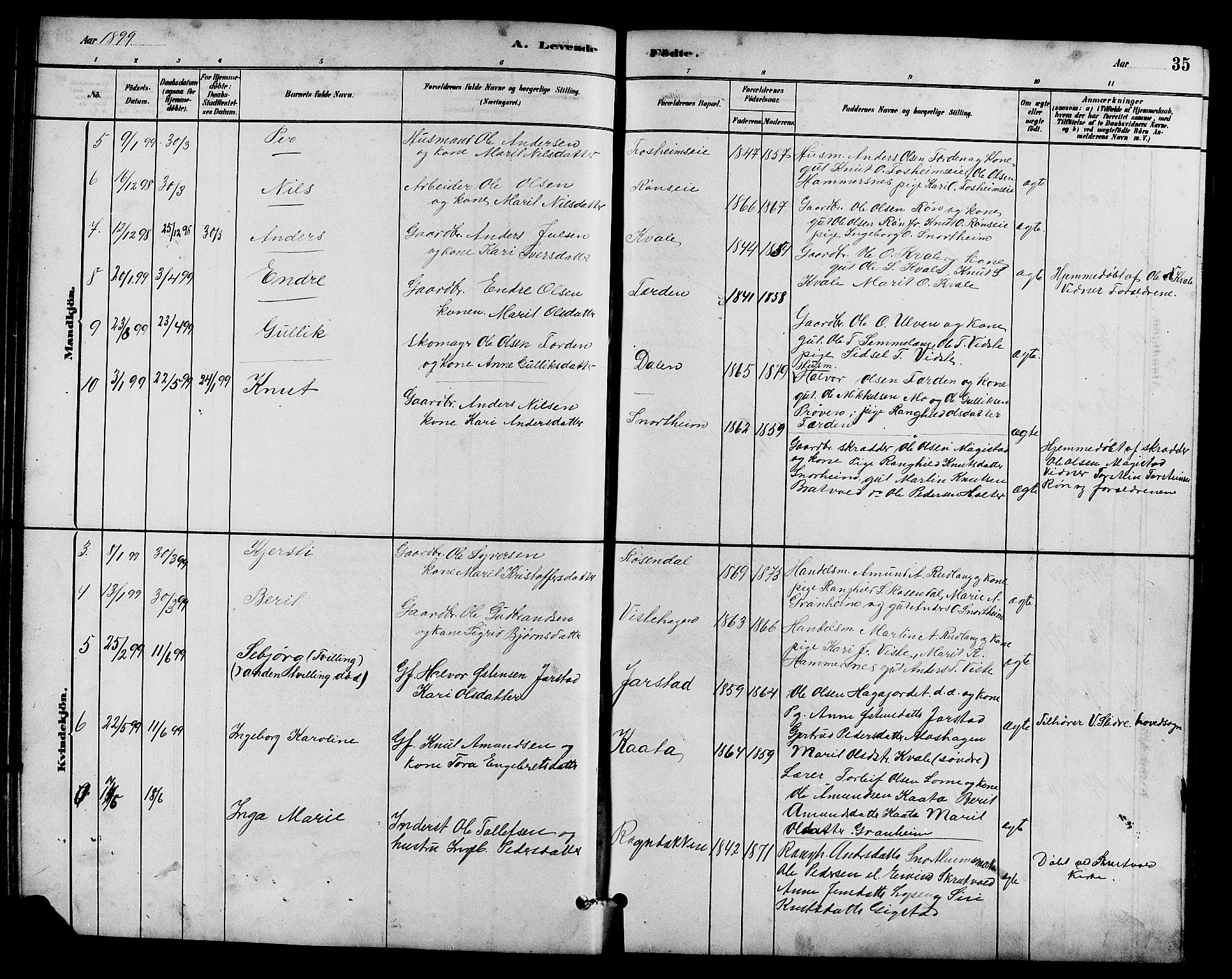 Vestre Slidre prestekontor, SAH/PREST-136/H/Ha/Hab/L0005: Parish register (copy) no. 5, 1881-1913, p. 35
