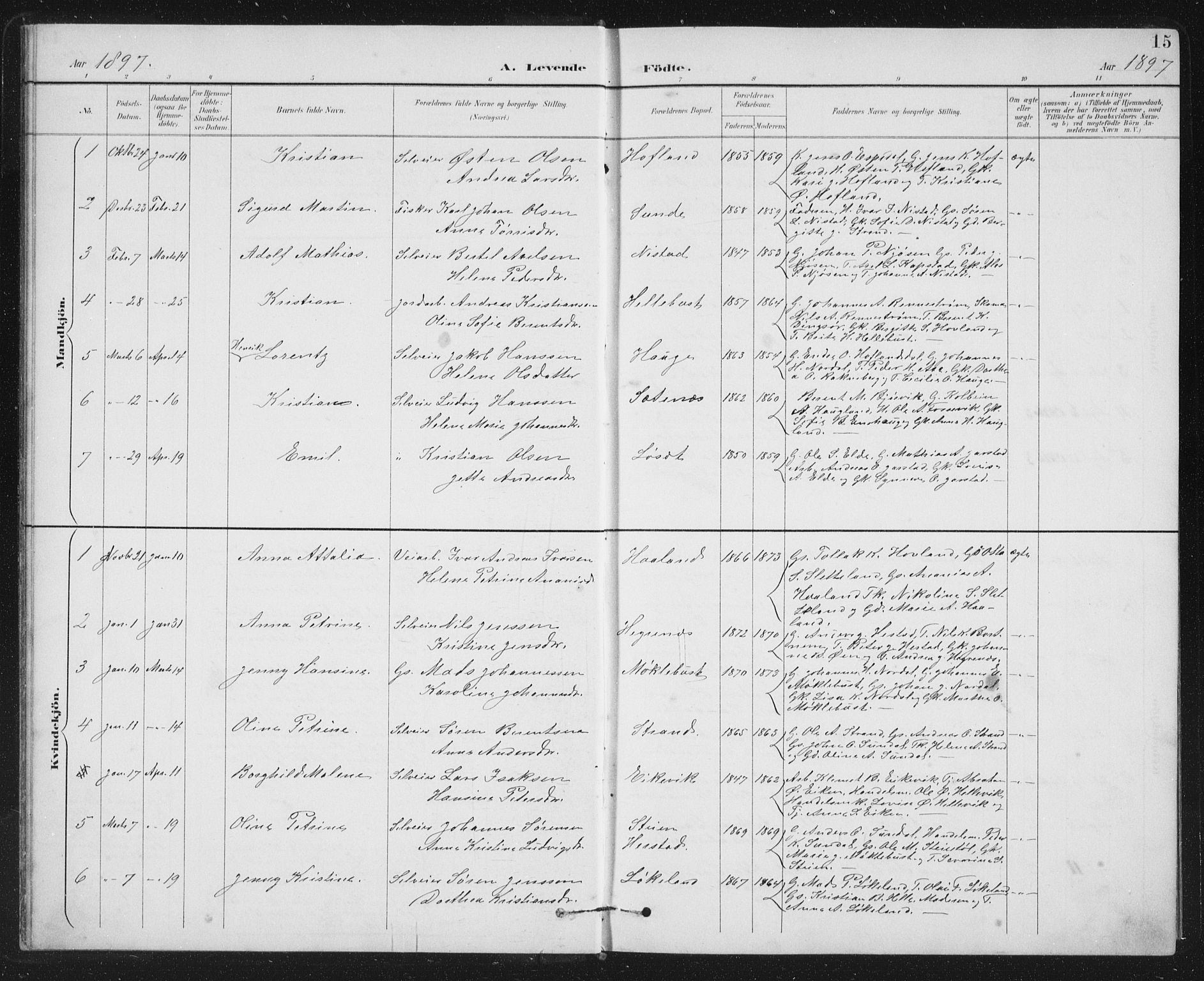 Fjaler sokneprestembete, SAB/A-79801/H/Hab/Habc/L0003: Parish register (copy) no. C 3, 1894-1917, p. 15