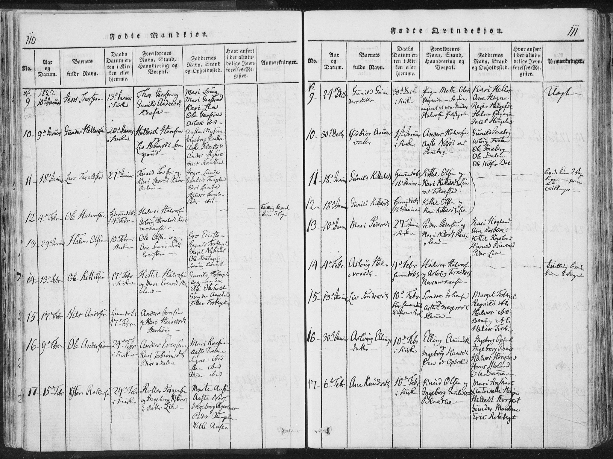 Bø kirkebøker, SAKO/A-257/F/Fa/L0006: Parish register (official) no. 6, 1815-1831, p. 110-111