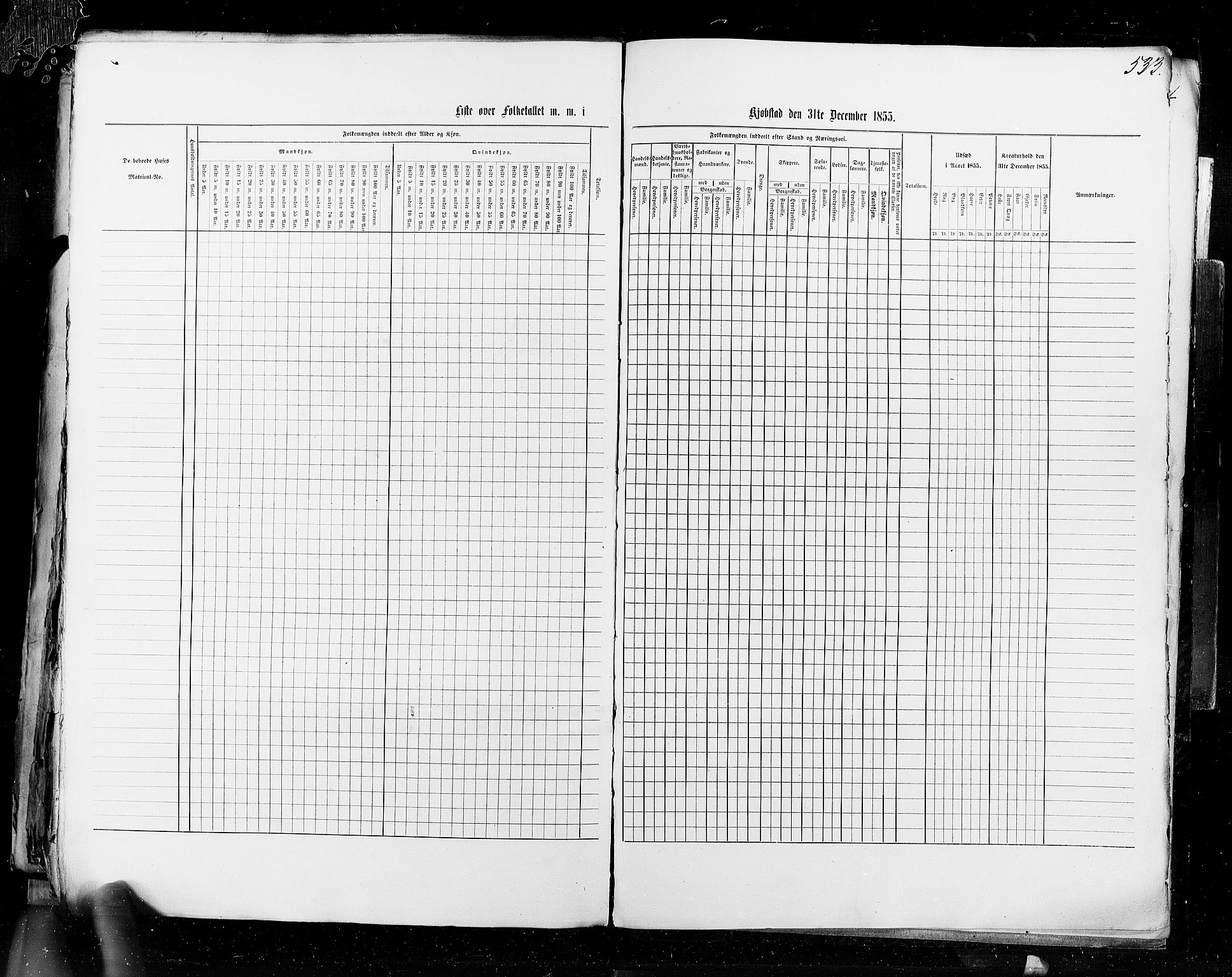 RA, Census 1855, vol. 8: Risør-Vadsø, 1855, p. 533