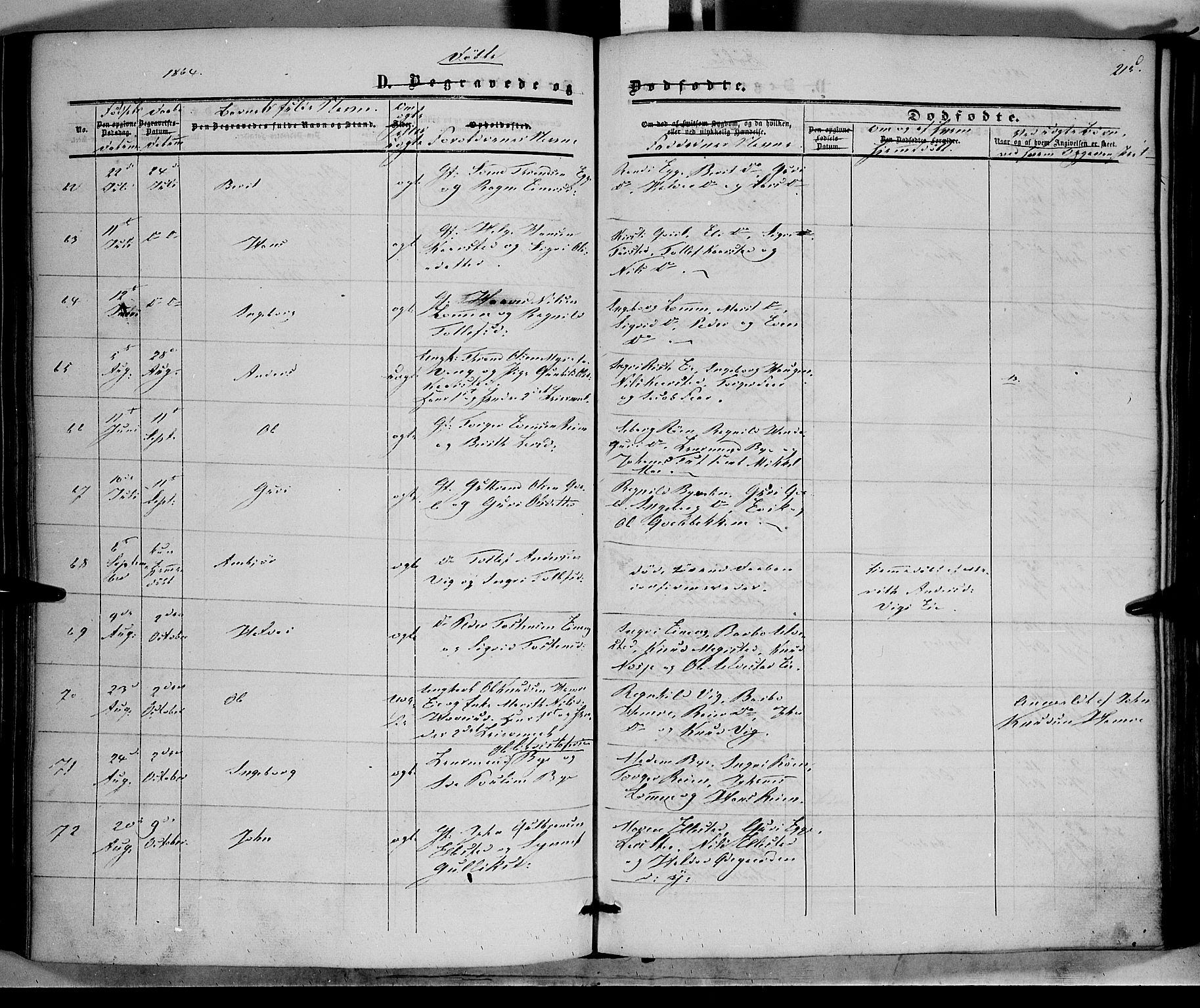 Vestre Slidre prestekontor, AV/SAH-PREST-136/H/Ha/Haa/L0002: Parish register (official) no. 2, 1856-1864, p. 215