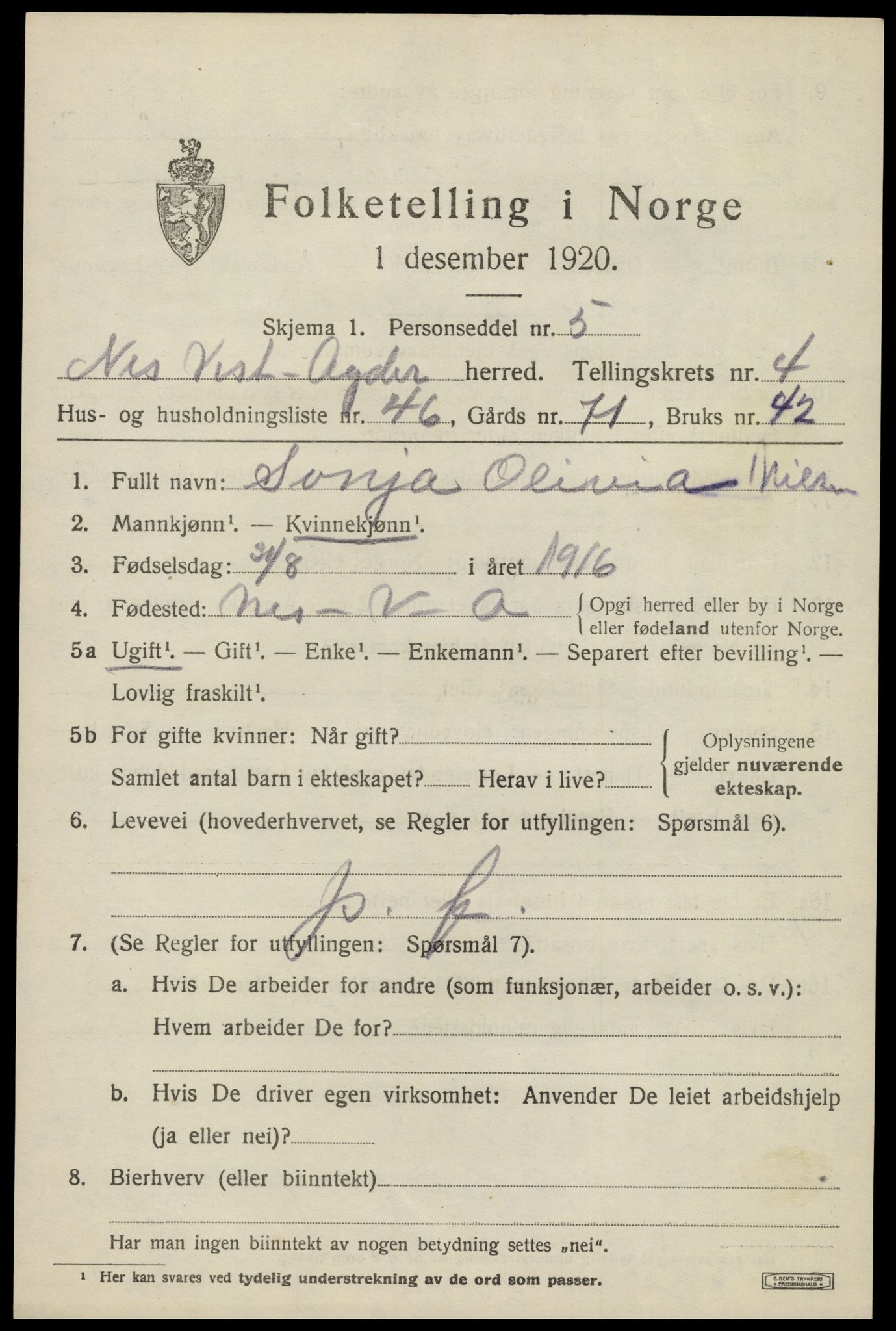 SAK, 1920 census for Nes (V-A), 1920, p. 2650