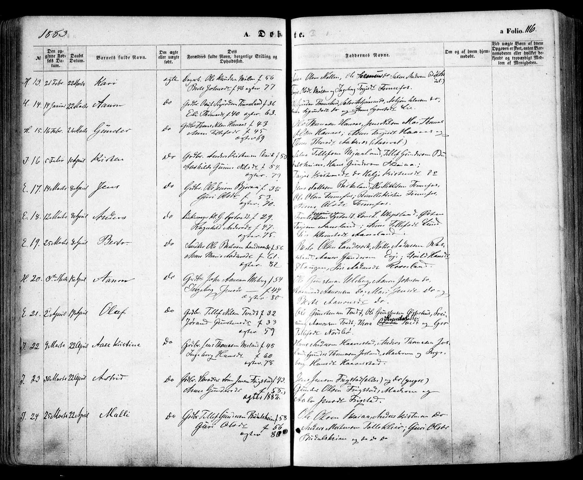 Evje sokneprestkontor, SAK/1111-0008/F/Fa/Faa/L0006: Parish register (official) no. A 6, 1866-1884, p. 116