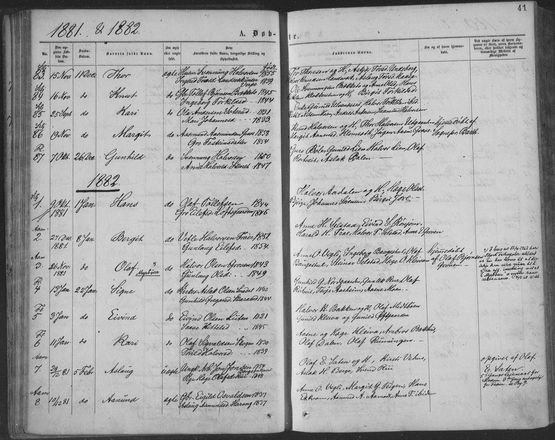 Seljord kirkebøker, AV/SAKO-A-20/F/Fa/L0014: Parish register (official) no. I 14, 1877-1886, p. 41