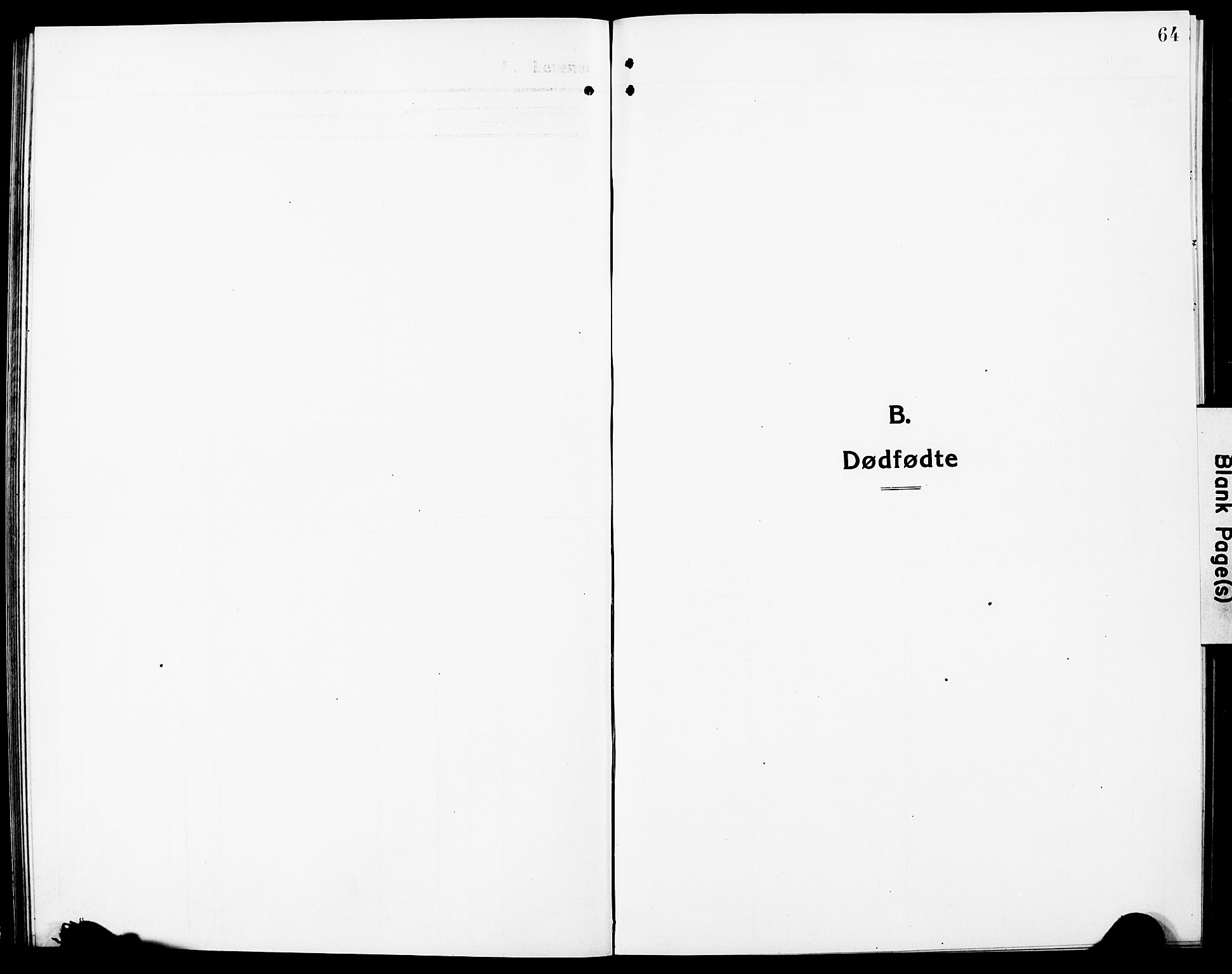 Nannestad prestekontor Kirkebøker, SAO/A-10414a/G/Ga/L0003: Parish register (copy) no. I 3, 1914-1929, p. 64