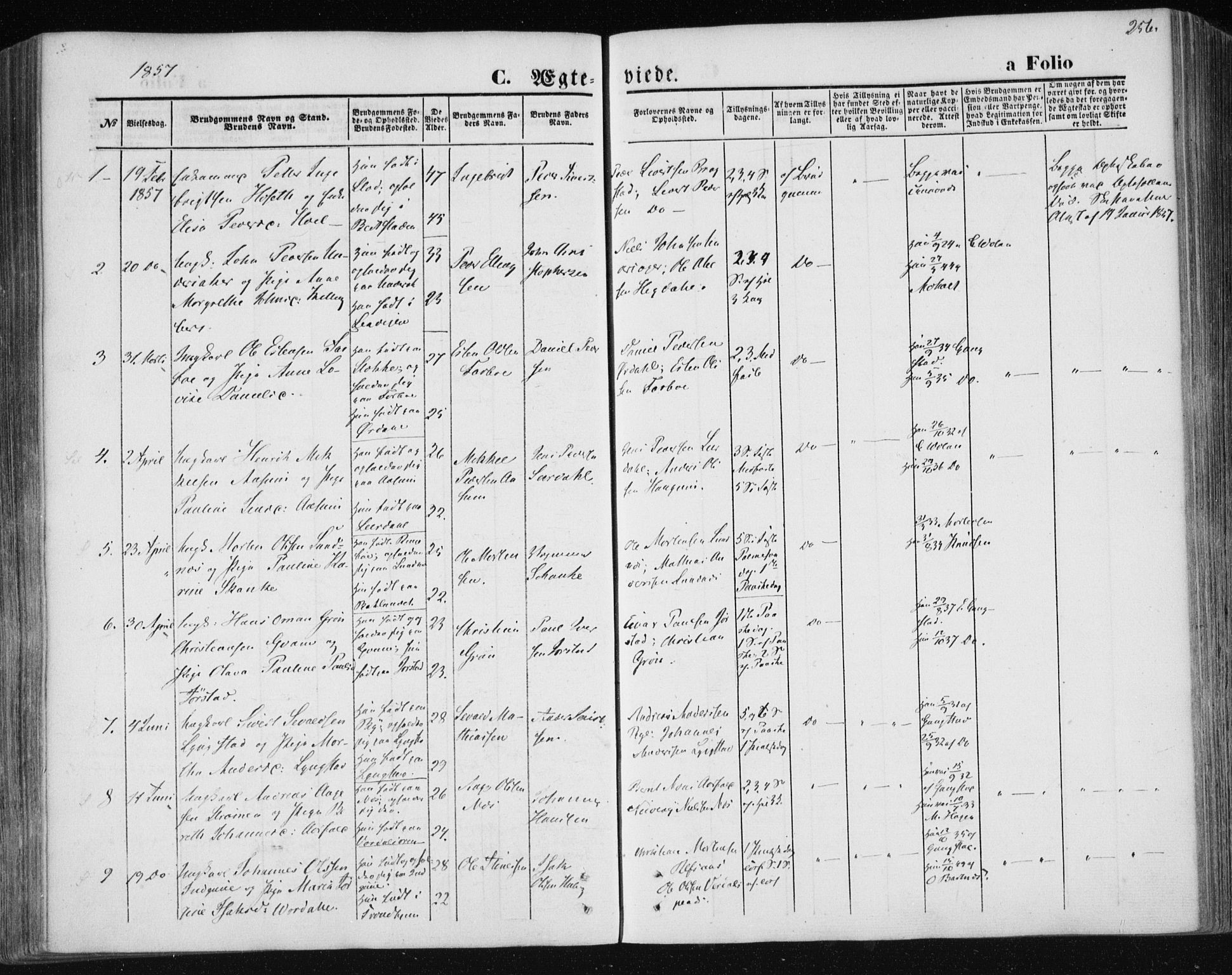 Ministerialprotokoller, klokkerbøker og fødselsregistre - Nord-Trøndelag, AV/SAT-A-1458/730/L0283: Parish register (official) no. 730A08, 1855-1865, p. 256