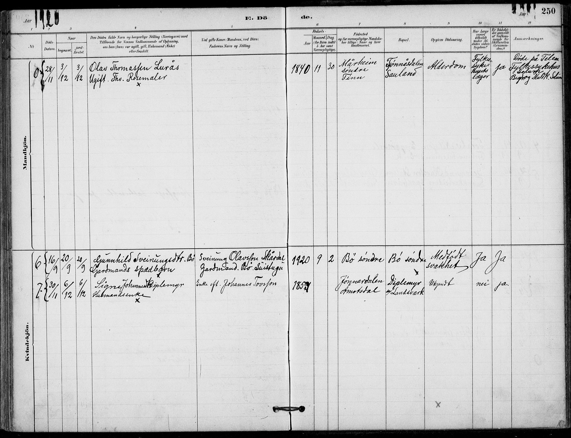 Hjartdal kirkebøker, SAKO/A-270/F/Fb/L0002: Parish register (official) no. II 2, 1880-1932, p. 250