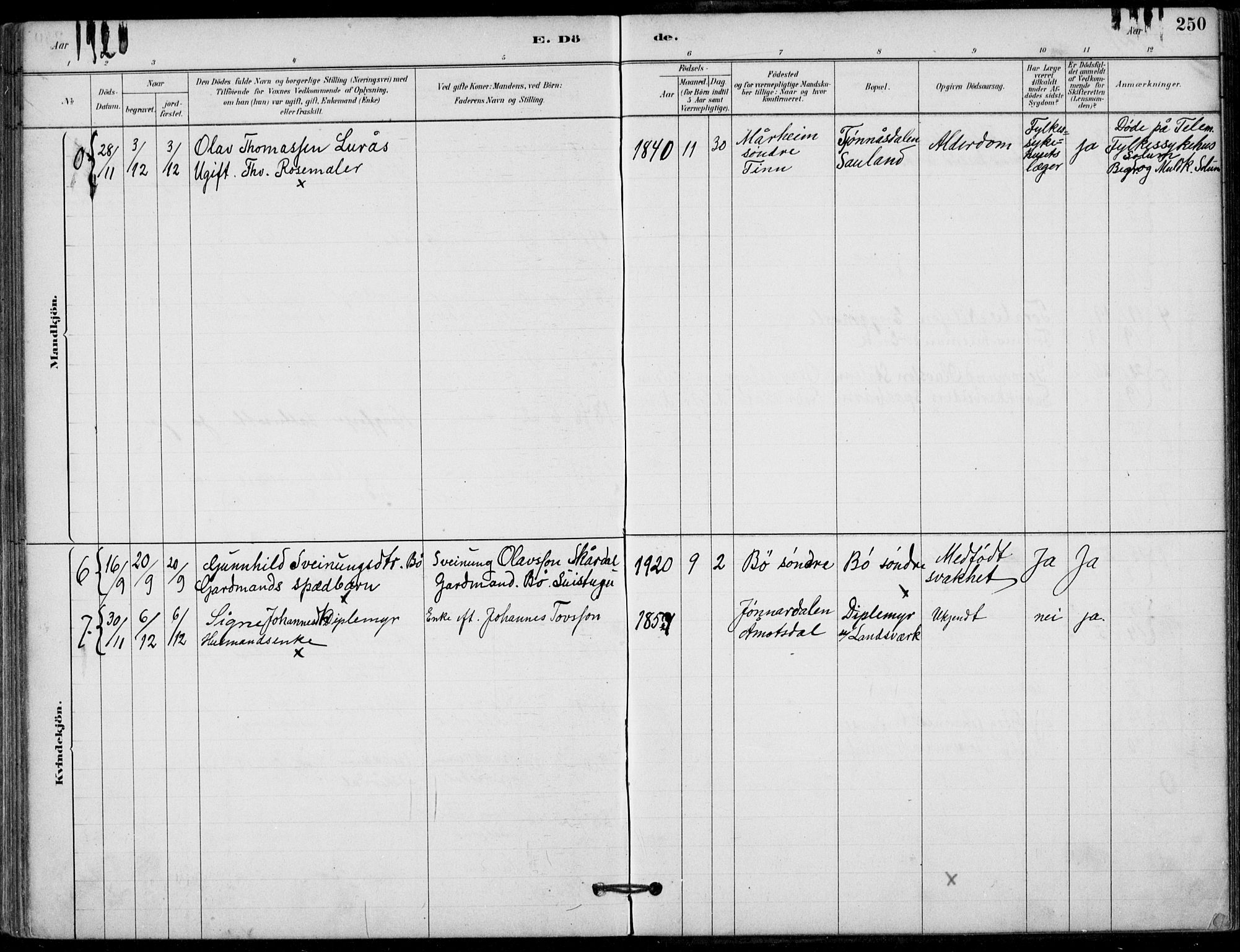 Hjartdal kirkebøker, AV/SAKO-A-270/F/Fb/L0002: Parish register (official) no. II 2, 1880-1932, p. 250