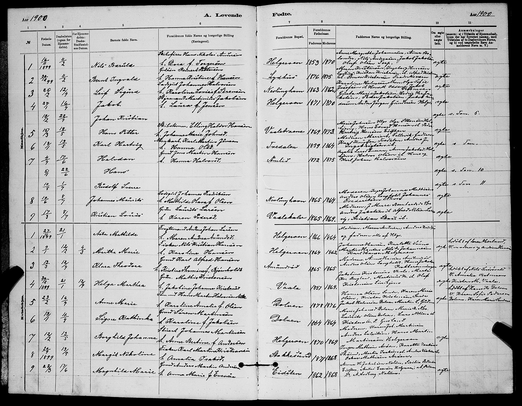 Brunlanes kirkebøker, SAKO/A-342/G/Gb/L0002: Parish register (copy) no. II 2, 1878-1902