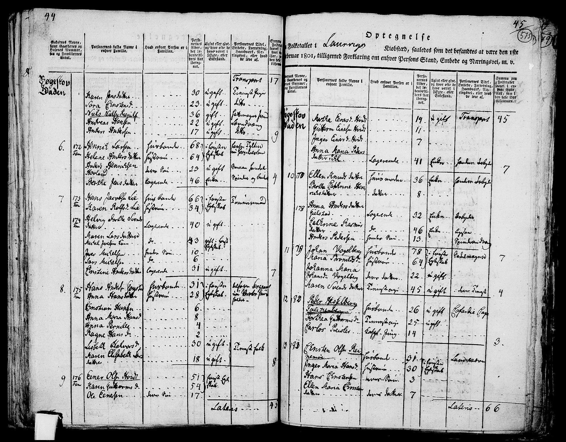 RA, 1801 census for 0707P Larvik, 1801, p. 572b-573a