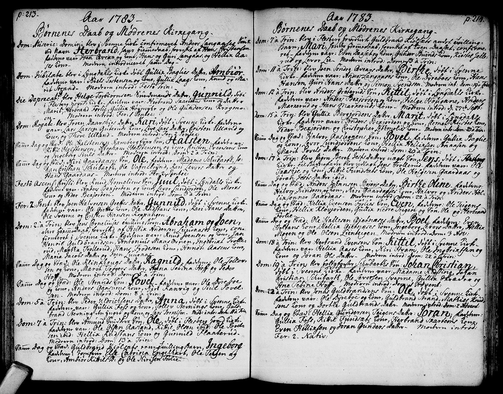 Flesberg kirkebøker, SAKO/A-18/F/Fa/L0003: Parish register (official) no. I 3, 1748-1790, p. 213-214