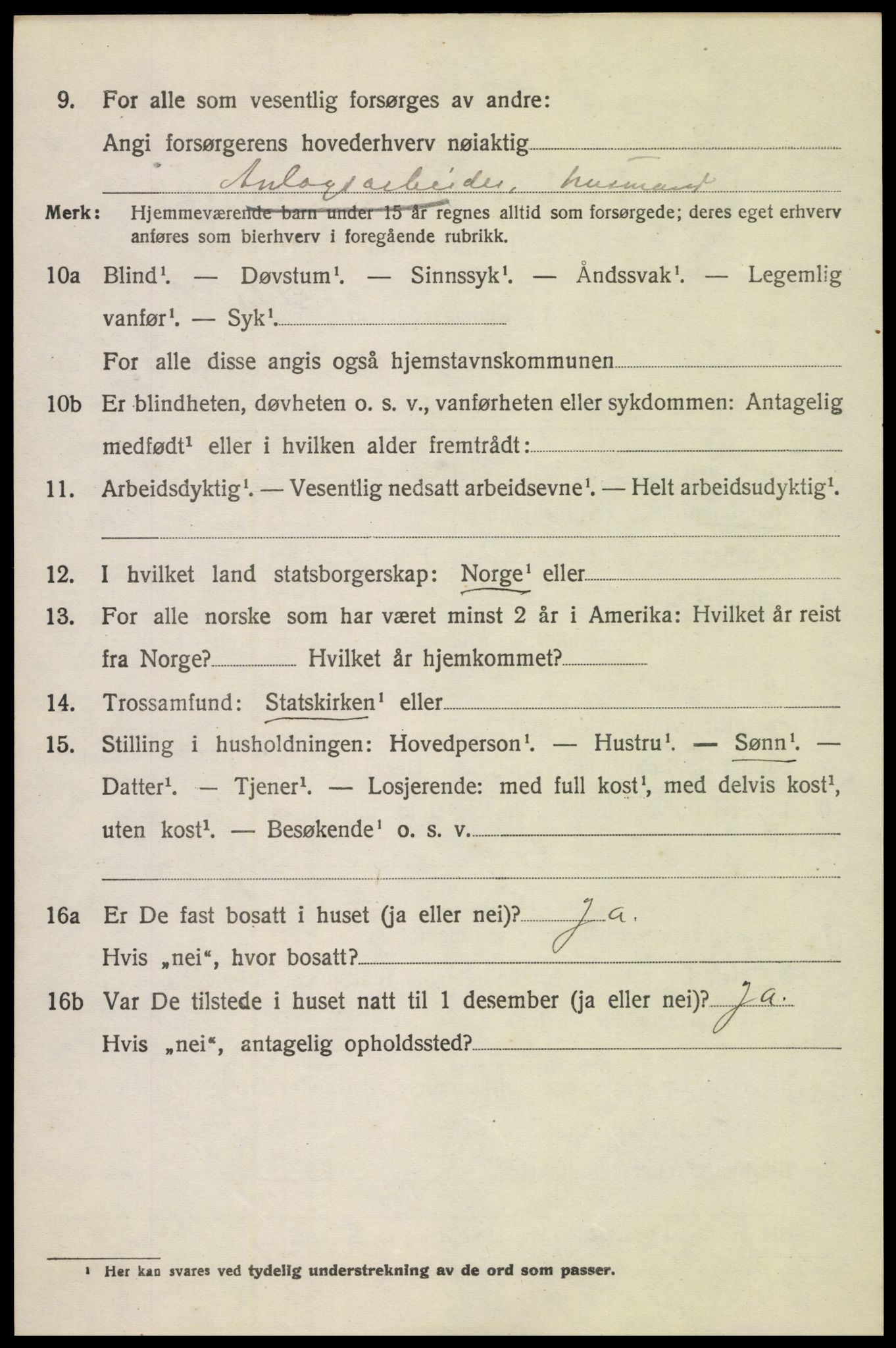 SAH, 1920 census for Sel, 1920, p. 3117